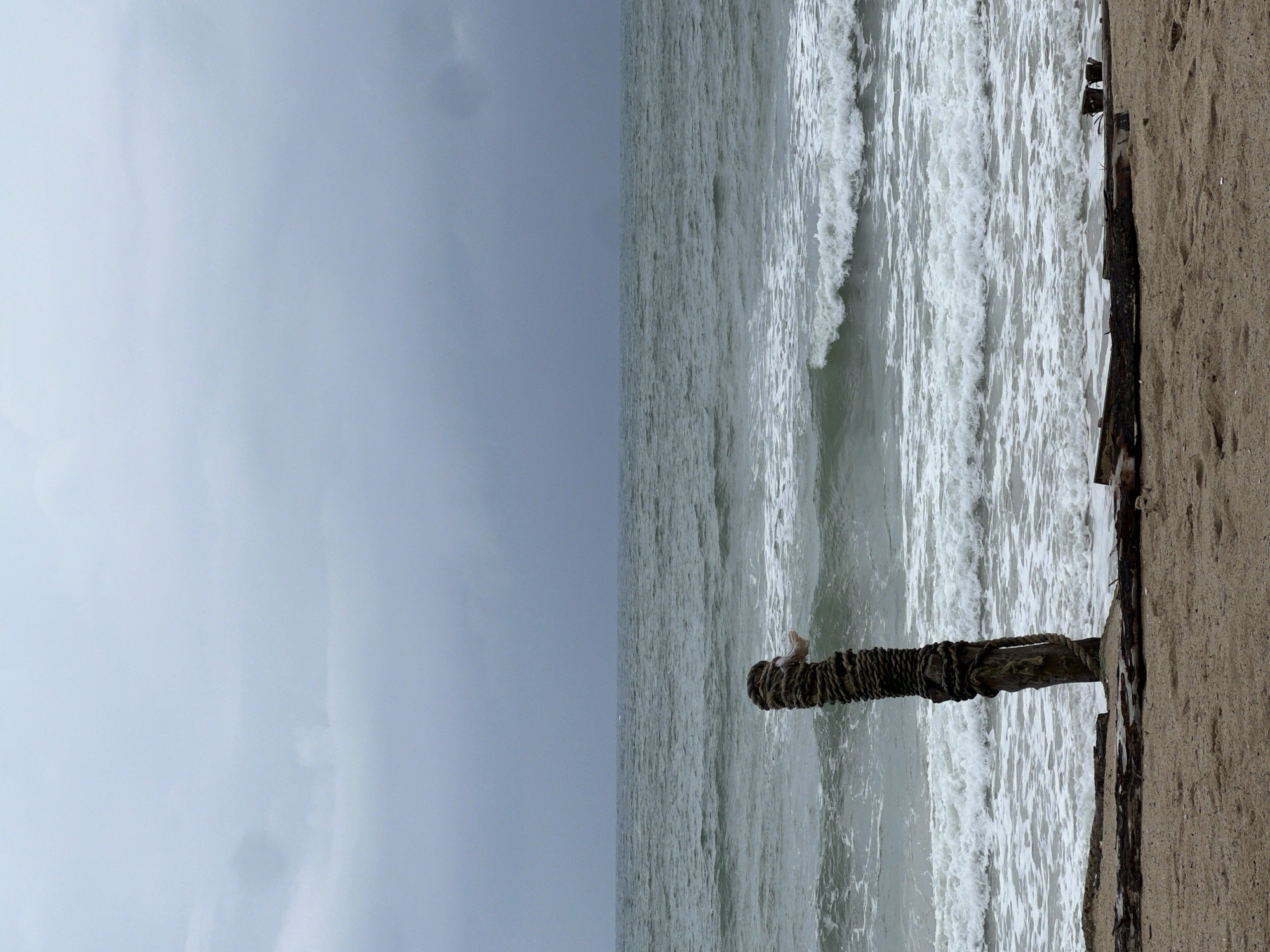The image captures a beach scene, with the composition divided into three vertical sections. On the left is a cloudy sky, transitioning into the ocean in the middle, where waves are visible. A weathered wooden post wrapped with rope extends into the ocean from the right side. The rightmost section features a sandy beach with pieces of debris. A person's foot rests on the pole in the middle of the wave. The location is unspecified.