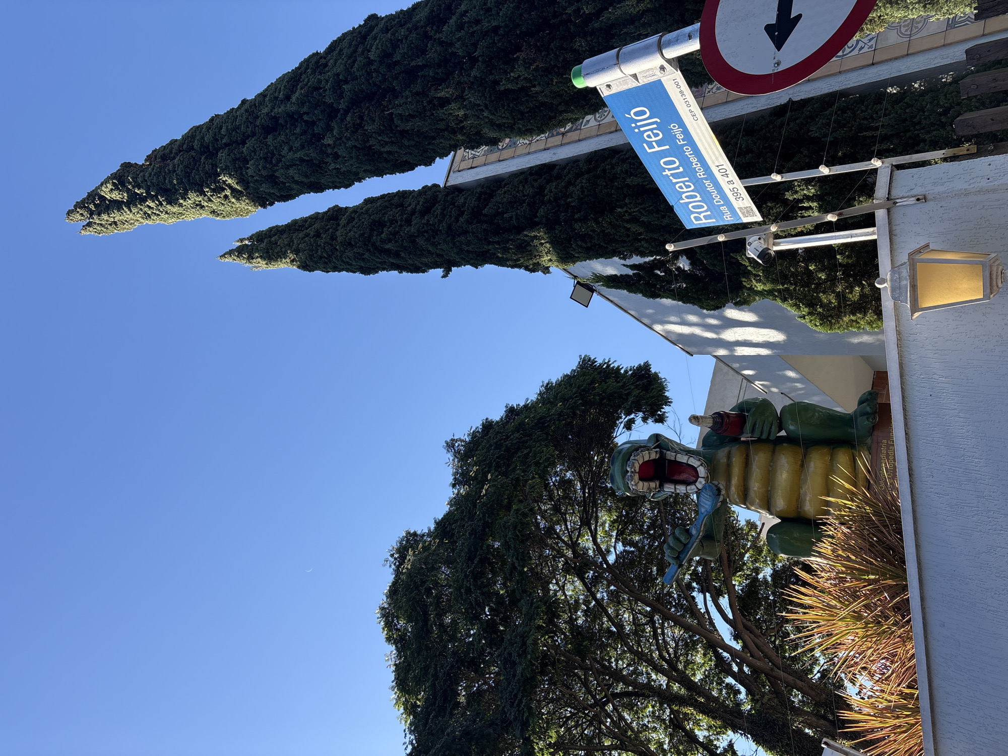 In São Paulo, Brazil, a bright blue sky is visible above a scene featuring a large, cartoonish green dinosaur statue. The dinosaur, with its mouth open and holding a toothbrush and what appears to be a bottle, is positioned in front of a building and a lush green tree. To the right of the statue, a street sign reads "Roberto Feijó Rua Doutor Roberto Feijó." Adjacent to the street sign is a circular traffic sign with a black arrow pointing to the left. Tall, dark green cypress trees line the right side of the image, their pointed tops reaching towards the sky. A security camera and a yellow lantern are also present on a wall in the foreground. The overall impression is one of a colorful, slightly whimsical urban environment on a sunny day.