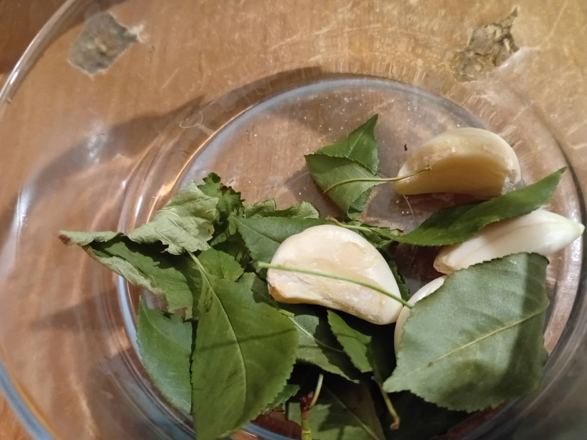 A top-down close-up shot shows three peeled garlic cloves mixed with fresh green leaves inside a clear glass bowl. The bowl is situated on a light brown wooden surface that appears to be a table. There are some smudges on the table surface. The background is blurry, but it appears to be an indoor setting. No people are visible in the image. The scene is located in Temirtau, Kazakhstan.