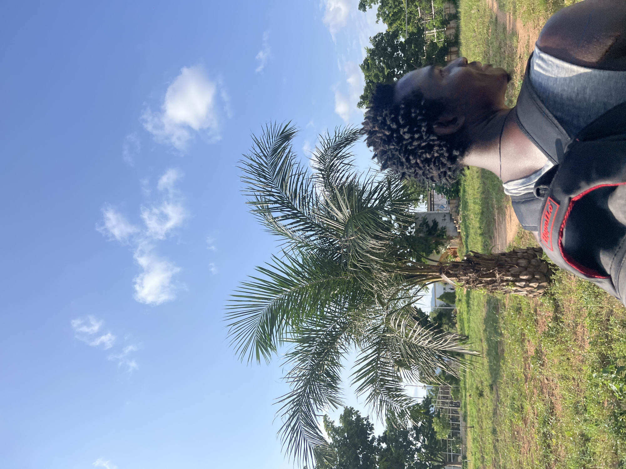 A young Black male with dark, curly hair and a thin beard is shown from the back and side, looking to his right. He is wearing a light grey tank top and a black backpack with red trim. He appears to be outdoors in a grassy area with a dirt path. To his left, a mature palm tree stands prominently. In the background, there are more trees, some distant buildings, and a clear blue sky with scattered white clouds. The overall scene suggests a warm, sunny day in a tropical or subtropical environment. The location is identified as Jalingo, Nigeria.