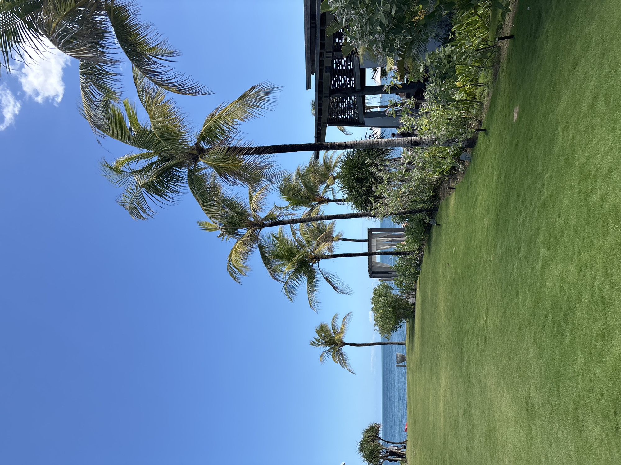 The image shows a tropical scene in North Kuta, Indonesia. A row of palm trees lines the edge of a lush green lawn that slopes down toward the ocean. The sky is a clear, bright blue. In the background, a building with an open, lattice-like structure is visible, nestled among the trees. Further down the lawn, lounge chairs are present with possible people sitting in them. The ocean is calm and a lighter shade of blue where it meets the horizon. The camera is angled upwards, emphasizing the height of the palm trees.
