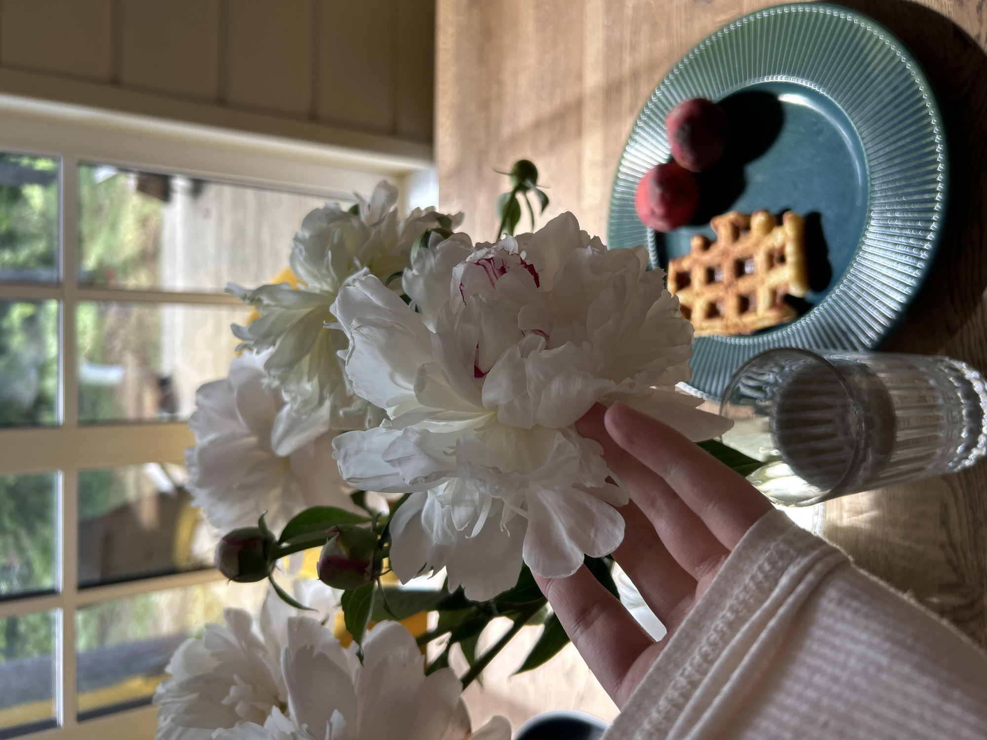 A hand is touching a white peony in a vase on a wooden table. In the background, there is a window with a view of trees and greenery. On the table, there is a green plate with a waffle and two peaches, and a glass of water. The scene appears to be indoors, in what could be a dining area or living room. The lighting suggests it is daytime. The image does not provide any specific clues about the city of Shepelyovo, Russia.