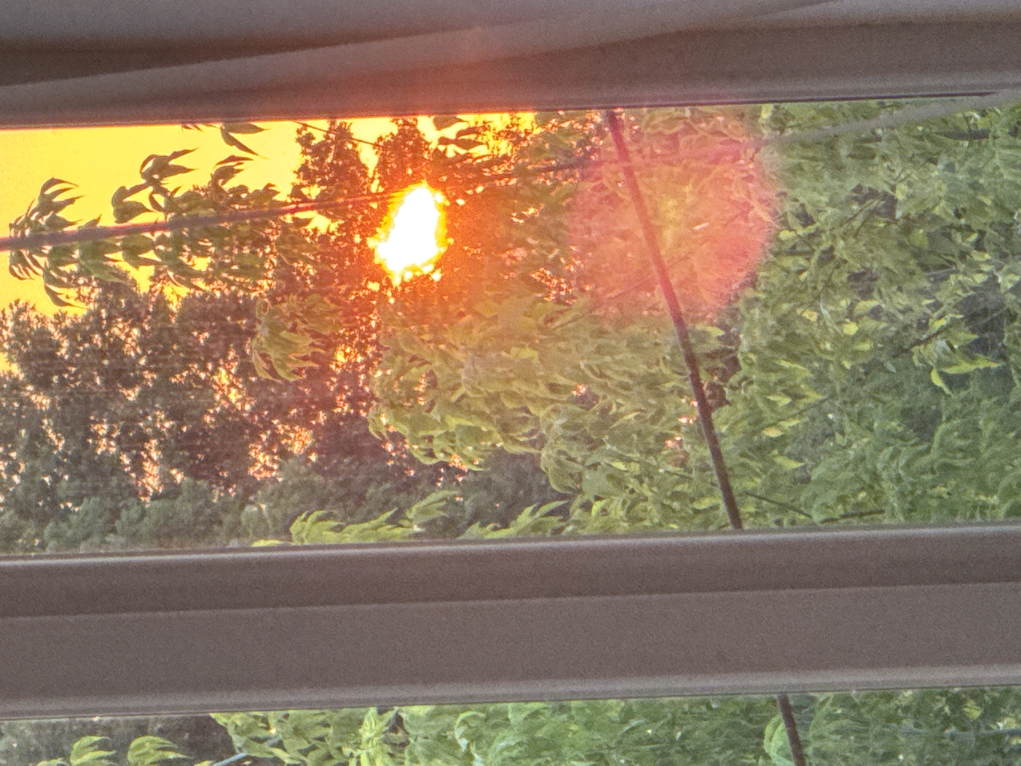 The image captures a sunset viewed through a window with blinds. The sky is a vibrant orange, transitioning to yellow towards the left. Silhouetted against the bright sky are trees with lush green foliage. The sun, a brilliant white and orange orb, is partially obscured by the branches of a tree. There are lens flares, appearing as reddish-pink smudges, on the right side of the image. The foreground is dominated by the dark, horizontal elements of the window blinds, creating a framing effect. The overall scene suggests a peaceful, natural setting during the golden hour, likely in Chernivtsi, Ukraine, given the context. There is no visible text in the image.