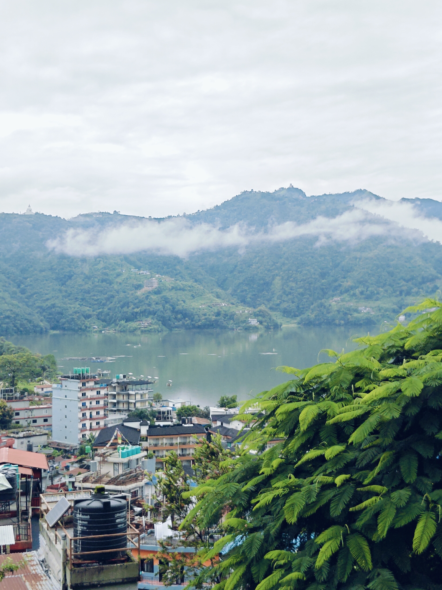 The image depicts a panoramic view of Pokhara, Nepal, overlooking a serene lake that reflects the overcast sky and the verdant, mist-shrouded hills in the background. In the foreground, lush green foliage frames the scene, with a dense canopy of leaves dominating the right side of the frame.
Below the foliage, a bustling urban landscape unfolds. Buildings of various heights and architectural styles are densely packed, many with flat roofs adorned with water tanks and solar panels. Some structures appear to be under construction, with exposed frameworks. The buildings exhibit a mix of pastel colors and concrete exteriors, suggesting a blend of residential and commercial properties.
The lake, a prominent feature, is dotted with small boats and appears calm, with subtle ripples on its surface. The distant hills are a gradient of deep green, their slopes dotted with scattered structures and touched by wisps of cloud. On the highest peak, a white structure, likely a stupa or temple, is visible, standing out against the muted sky. The overall atmosphere is one of tranquil natural beauty juxtaposed with urban development.