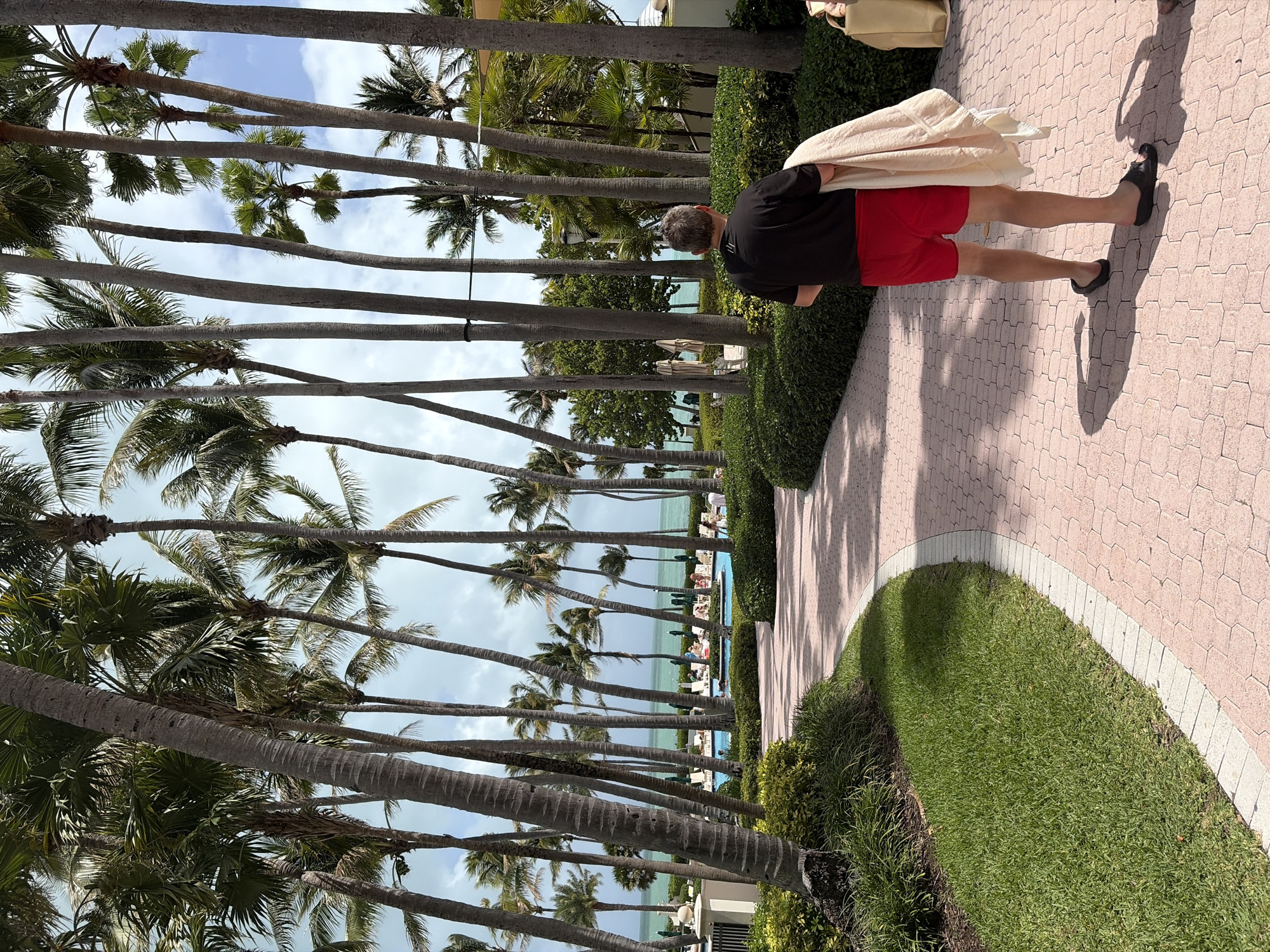 A medium shot shows a man walking along a paved path on a sunny day in Key Biscayne, United States of America. The path, made of pink hexagonal pavers, is bordered by a strip of green lawn and lush shrubbery on one side. The man is wearing a black shirt, red shorts, and black sandals, and he has a light-colored towel draped over his shoulder. He is walking away from the camera, toward a row of tall palm trees that line a pool and the ocean. The palm trees are tall and slender, with feathery green fronds. Beyond the trees, the turquoise water of the ocean stretches to the horizon. In the distance, people can be seen lounging by the pool. The sky is partly cloudy, with patches of blue visible between the clouds.