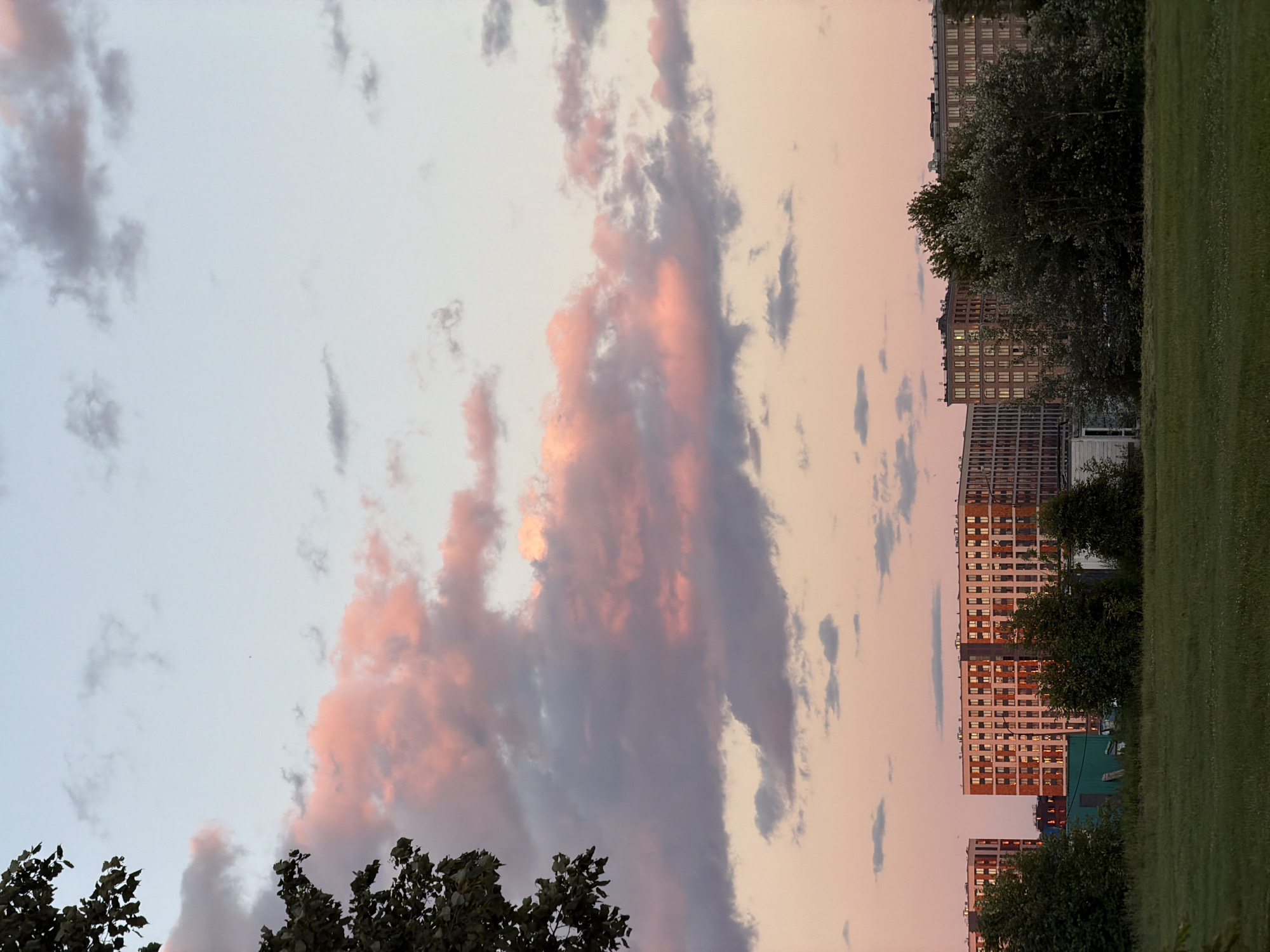 The image depicts a city skyline at dusk, with buildings and trees in the foreground and a sky illuminated by soft sunset colors. The sky is a gradient of pale blue and pink, with scattered clouds tinged with pink and gray. In the middle ground, several multi-story residential buildings with numerous windows are visible, some of which appear to be lit from within. A dense line of green trees and foliage separates the buildings from a grassy field in the foreground. A dark tree branch with leaves is visible in the upper left corner of the frame. The scene suggests an urban or suburban setting in Saint Petersburg, Russia, at the end of the day.