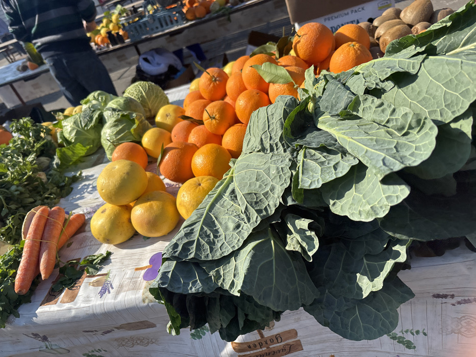 The scene captures an outdoor market stall in the City of Zagreb, Croatia, under direct sunlight. The primary focus is an assortment of fresh produce displayed on a white tablecloth patterned with lavender motifs, including a visible "Lavender Garden" label. In the foreground, large bundles of dark green, crinkled leafy vegetables are arranged. Adjacent to these are prominent piles of bright orange oranges, some retaining green leaves, and multiple yellow grapefruits. Further back on the table, tied bundles of orange carrots and lighter green leafy herbs are visible, alongside several heads of green cabbage. In the midground and background, other market elements include a stack of kiwis in a brown cardboard box, another stall featuring additional citrus fruits (oranges and lemons), and the upper torso of a person wearing a dark and light striped shirt. A white cap and a blue container are also partially visible in the background. A small purple plastic clip is attached near the foreground leafy greens. Shadows indicate bright, direct lighting.