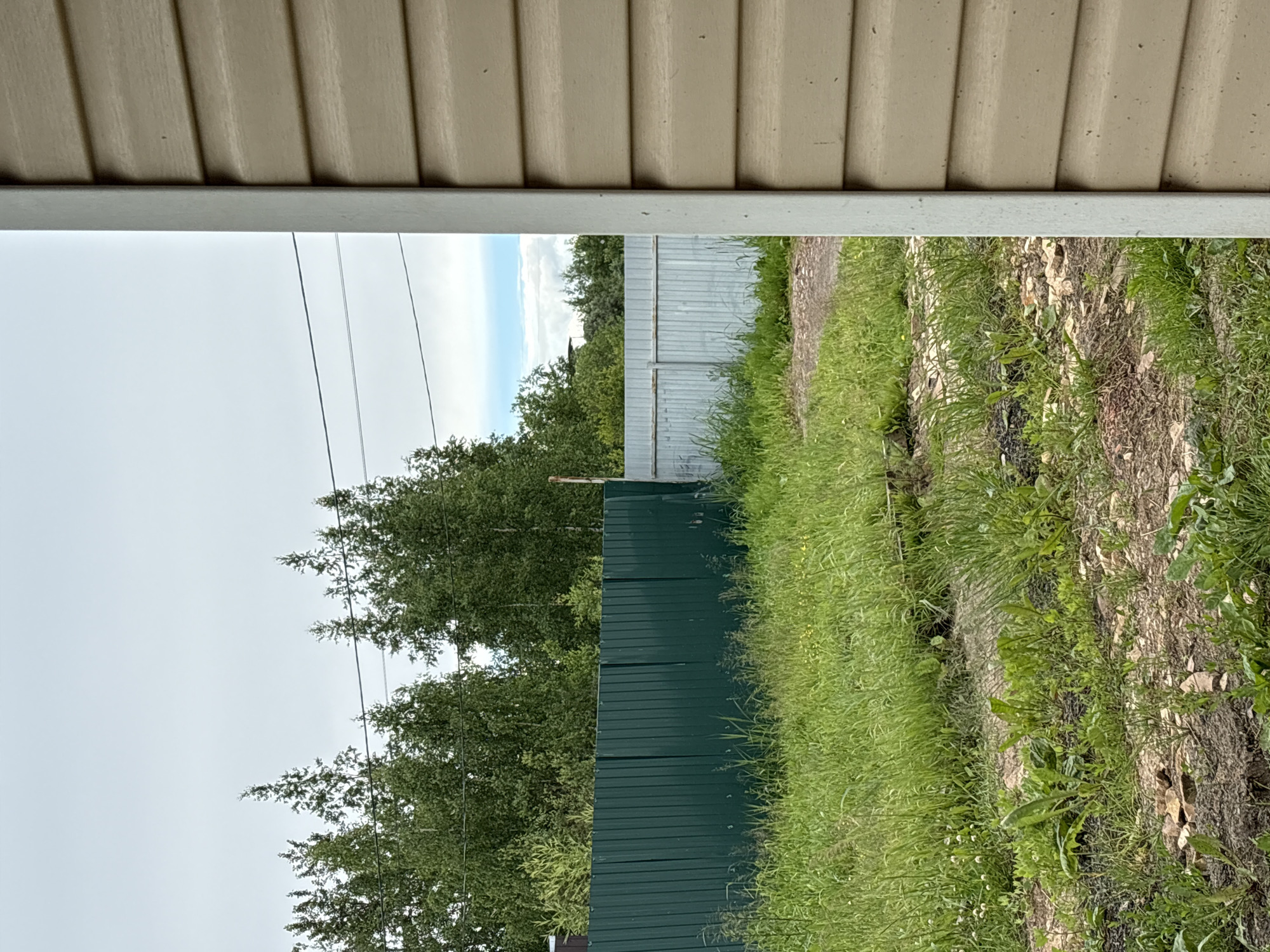 The image shows an outdoor scene with a focus on fencing and vegetation. In the foreground, to the right, is the side of a beige, horizontally-paneled building. To the left of this building, a green corrugated metal fence runs horizontally across the frame, extending into the background. Beyond the green fence, a lighter-colored corrugated metal fence is visible. The ground is covered in green grass and some patches of dirt and rocks. In the background, a line of trees is situated behind the fences, and power lines are strung across the sky. The sky is overcast with some patches of blue. The scene is likely a residential area or a property boundary. The location is identified as Pankovka, Russia.