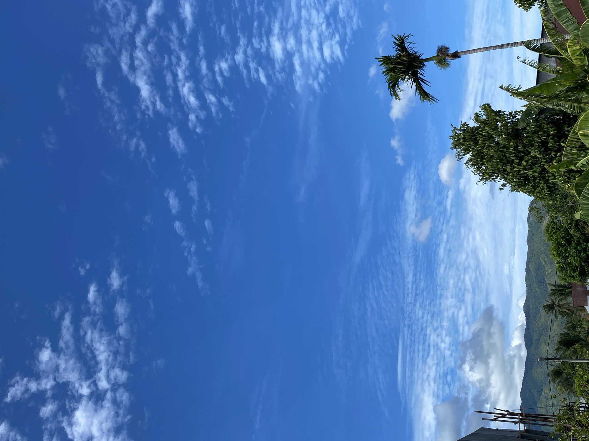 An outdoor, low-angle, medium shot captures a bright blue sky filled with wispy white clouds over the city of Banda Aceh, Indonesia. In the foreground, a portion of a building under construction is visible on the left, with scaffolding. Dense green foliage, including banana leaves and trees, occupies the lower third of the frame. A tall palm tree stands prominently on the right, its fronds reaching towards the sky. In the background, lush green, rolling hills form a picturesque backdrop beneath the vast expanse of the sky. The overall scene depicts a tropical landscape under a clear, partly cloudy day.