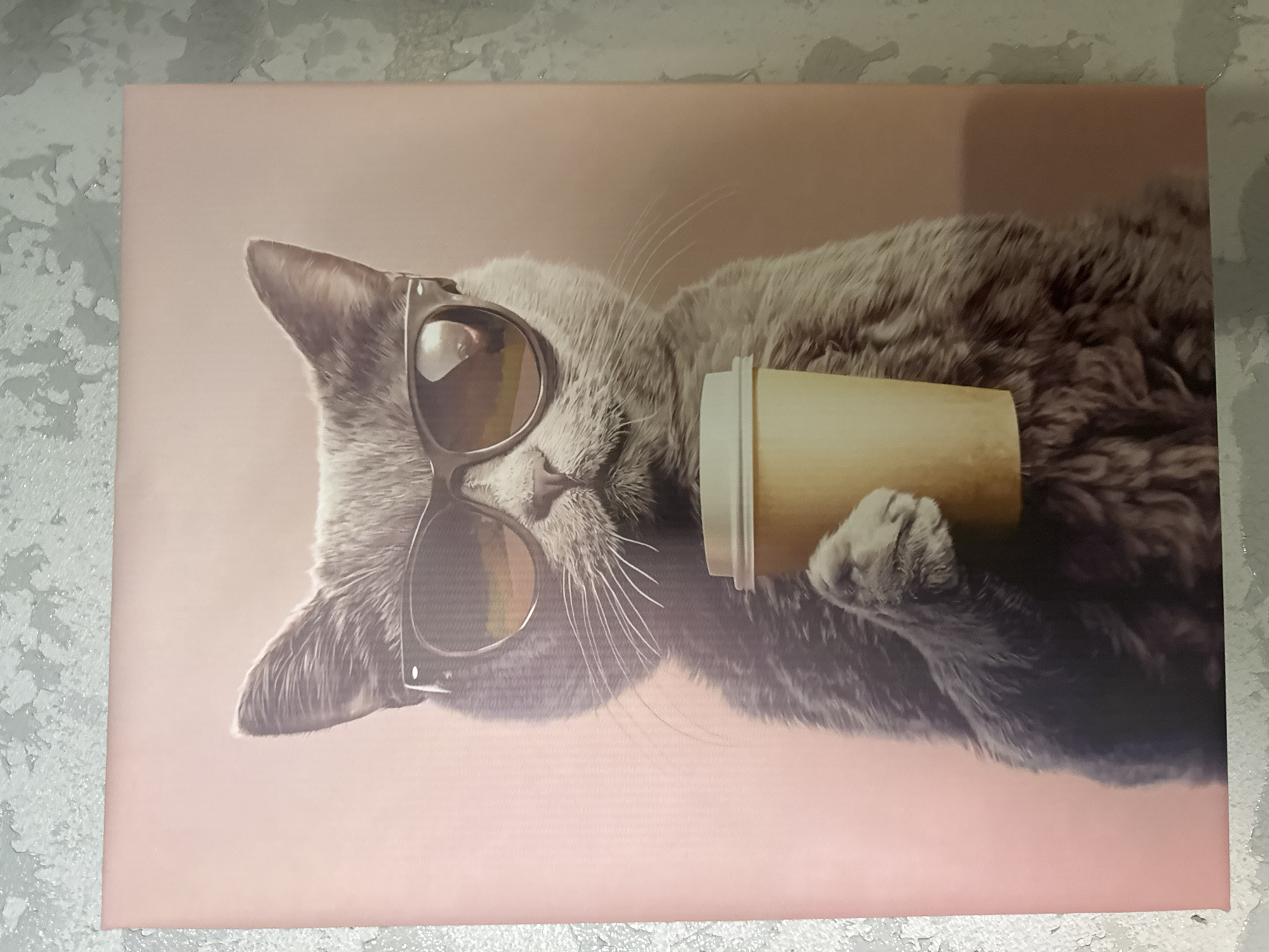 A horizontally-oriented, eye-level close-up captures a canvas print depicting a gray cat wearing sunglasses and holding a tan coffee cup. The cat is oriented from the bottom left to the top right. The background is a soft pink. The canvas print is resting on a grey surface with a textured, mottled pattern. There is no information about the location in the city of Chaikovsky, Russia. There are no people visible.