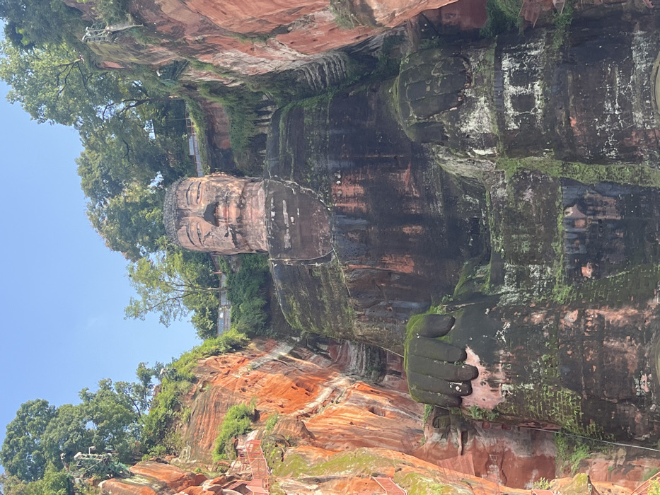 This image depicts a colossal Buddha statue, identified as the Leshan Giant Buddha, carved directly into a reddish-orange sandstone cliff face in Shizhong, China. The Buddha is presented in a seated posture, facing forward, with its large, distinct left hand, showing individual fingers, resting on its knee. The statue's surface is heavily weathered; extensive dark biological growth, primarily moss and lichen, covers significant portions of its body, particularly the lower torso and legs, interspersed with vertical dark streaks. The face and upper chest retain more of the reddish-pink sandstone coloration, though darker stains are present around the nose and upper lip. The Buddha's head features tightly curled hair, downcast eyes, and elongated ears.
The statue is flanked by steep, stratified reddish-orange rock cliffs, also partially covered in green vegetation. On the left cliff, a red-colored pathway with railings descends, indicating a visitor access route. The cliff tops are densely covered in green trees, with visible man-made structures like fences and platforms integrated into the foliage. The sky above is clear and blue.