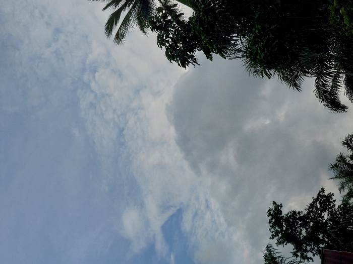 The image depicts a cloudy sky above tropical vegetation in Keude Cunda, Indonesia. The upper-left quadrant shows a light blue sky with scattered, thin white clouds. The majority of the sky is covered by denser, white to gray stratocumulus cloud formations, particularly prominent in the central and right portions, suggesting an overcast or partly cloudy condition. Dark green foliage from several trees frames the lower and side edges of the frame. On the right, multiple palm fronds and the dense canopy of a broad-leafed tree are visible, extending into the frame from the top and right sides. On the left, the upper portion of a tree with smaller, denser leaves is present. A small section of a reddish-brown tiled roof is visible in the lower-left corner, beneath the foliage. No individuals, animals, or specific actions are discernible within the scene.