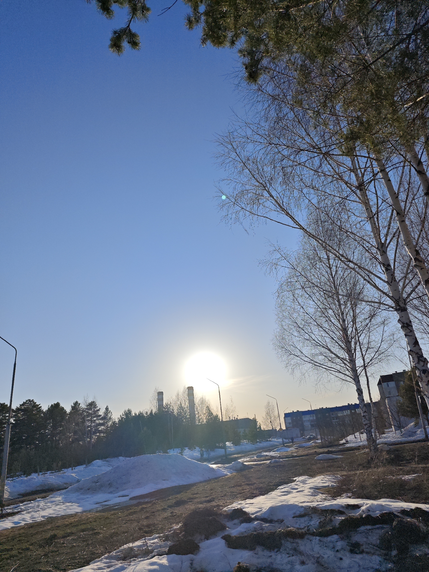 The image depicts a winter scene in what appears to be a residential area of Марковский, Russia. Patches of snow cover the ground, suggesting late winter or early spring. Several bare birch trees are visible on the right side of the frame, their branches reaching into the clear, bright blue sky. In the background, there's a line of coniferous trees and what looks like a power plant with two tall chimneys. The sun is low on the horizon, obscured by the light haze, casting a bright glare. A few streetlights are visible along the roadside. In the distant background on the right side is a multi-story building. There are no people visible in the immediate foreground.