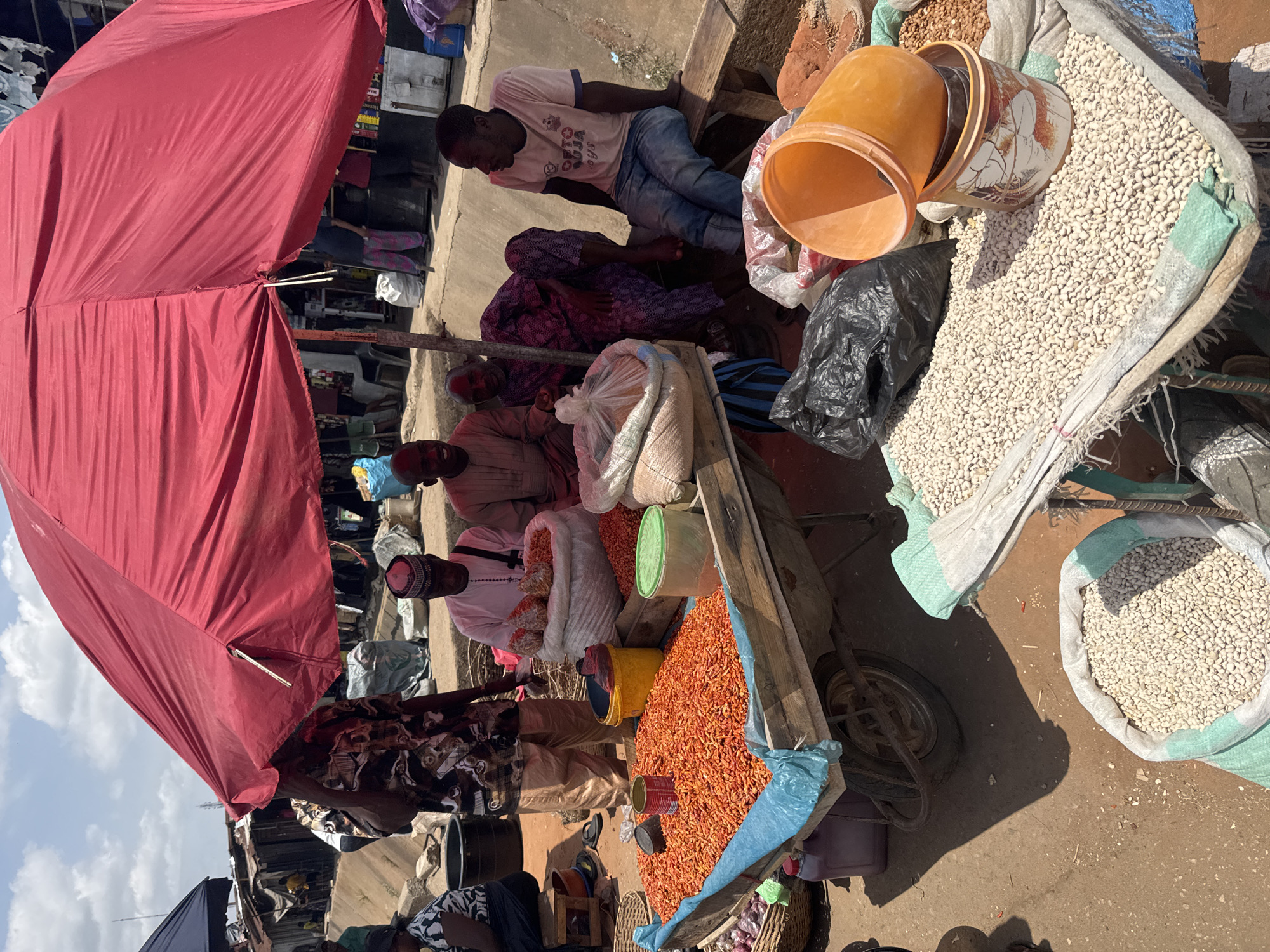 The image captures a vibrant outdoor market scene, likely in Onitsha, Nigeria, under bright daylight. A large red umbrella, partially visible on the left, provides shade over a section of the market stall.
Several individuals are present, engaging in market activities. Towards the center, a man wearing a light-colored t-shirt with visible text "OTTO AUJA" and blue jeans is seated on a wooden plank. Nearby, a woman in a purple patterned dress is also seated. Further into the scene, other people, primarily men in traditional attire and caps, are either tending to their goods or interacting.
The market stall, constructed from planks, displays a variety of produce. Large quantities of light-colored beans or cowpeas are piled high in large sacks, with some spilling out. Orange plastic buckets, possibly used for measuring or storage, are placed among the goods. A black plastic bag is also visible. Further along the stall, a significant mound of small, bright red dried peppers is spread out on a blue tarp, indicating a chili or spice vendor. Other sacks containing goods and various containers, including a yellow bucket and a green lidded container, are scattered across the stall.
The ground appears to be a mix of dirt and paved areas. The strong shadows suggest it is daytime, likely mid-day, under clear skies. The overall scene depicts a bustling local market focused on agricultural produce.