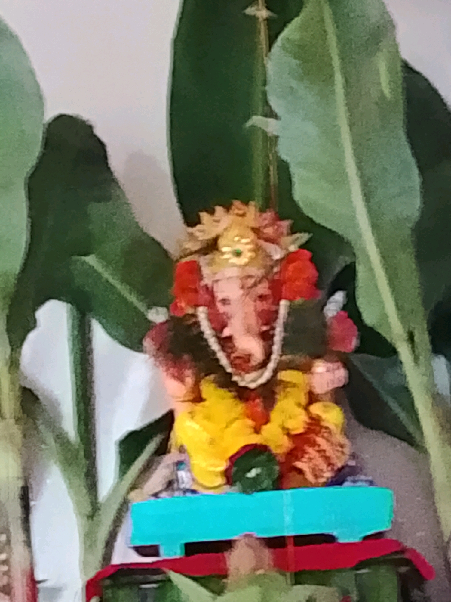 A slightly out-of-focus, close-up shot captures a small statue of the Hindu deity Ganesha, adorned with flowers and a pearl necklace, placed on a bright blue, tiered platform. The statue is positioned in front of large, lush green leaves, possibly from a banana plant, which create a backdrop and partially obscure the deity. The overall setting appears to be an indoor or sheltered area, given the plain wall visible behind the leaves and the absence of any natural outdoor elements. There is no indication of the specific location within Wardha, India, other than the provided context. The scene is static, with no discernible actions or interactions occurring. The lighting is soft, casting gentle shadows.