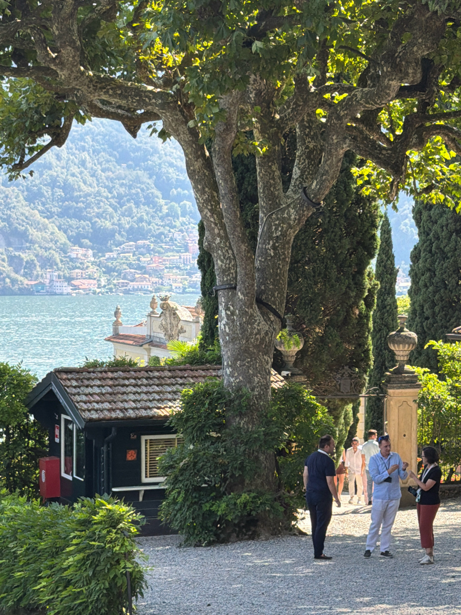 The image depicts an outdoor scene in the city of Tremezzina, Italy, with a focus on a large tree in the foreground. Behind the tree, a small dark-colored building with a tiled roof is visible, featuring a red mailbox attached to its side. A body of water, likely Lake Como, stretches out behind the building, with a distant hillside town featuring numerous houses nestled on its slopes. Several people are present, engaged in conversations. One man, wearing a dark blue polo shirt and dark pants, stands to the left. To his right, two men are talking; one is in a light blue shirt and white pants, and the other is in a white shirt and light-colored pants. A woman in a black shirt and rust-colored pants stands near the man in the light blue shirt, also conversing. The environment is lush with greenery, including dense bushes and tall cypress trees, suggesting a well-maintained garden or park. The overall atmosphere is bright and sunny, with dappled light filtering through the tree's leaves.