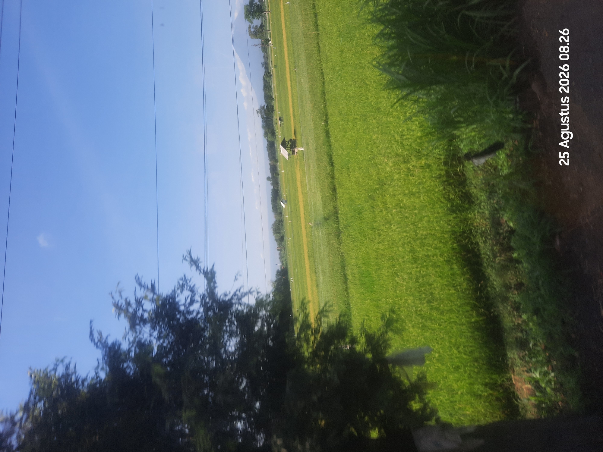A wide shot captures a sunlit, lush green rice paddy field under a clear blue sky. A large, dark tree trunk dominates the left foreground, partially obscuring a glimpse of the field. In the middle ground, several small, thatched-roof structures and white objects are scattered across the field, suggesting a rural setting. The horizon is dotted with trees, and a hazy mountain range can be seen in the distance. Power lines crisscross the upper portion of the sky. The bottom right corner of the image displays a timestamp: "25 Agustus 2026 08.26". The overall impression is one of tranquility and natural beauty, likely taken from a moving vehicle given the slight blur of the tree on the left.