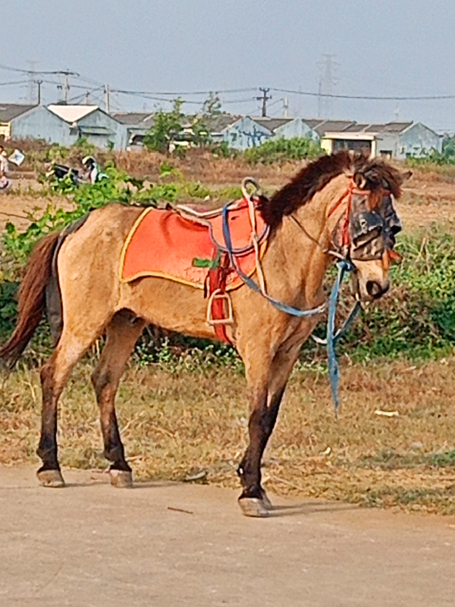 A light brown horse stands facing right on a dirt path. The horse is equipped with a red saddle blanket with yellow trim and a bridle with blinkers. In the background, there are several low-rise buildings with blue-grey roofs and white walls. To the left of the horse, there are some people and a motorcycle, though they are out of focus. The environment appears rural, with dry grass and some green foliage. The sky is clear and light blue.