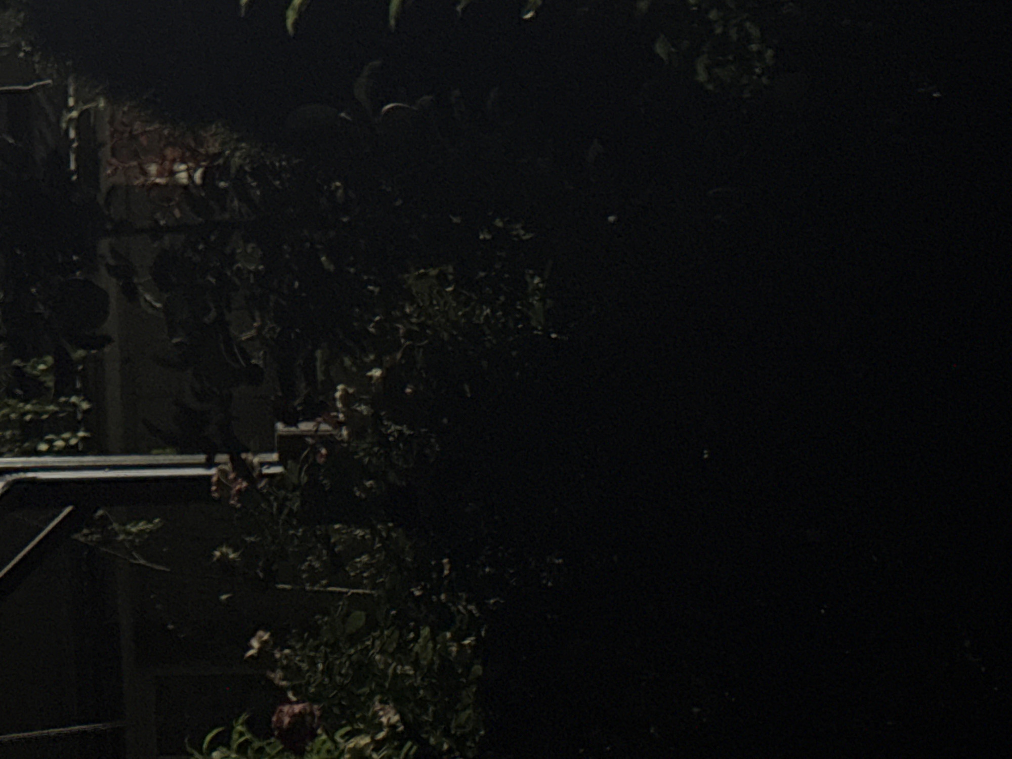 The image depicts a dimly lit, outdoor scene featuring foliage and what appears to be architectural elements. In the foreground, dark green leaves and branches are visible, with some lighter-colored flowers or blooms interspersed. The background is largely obscured by shadow, but hints of a structure with vertical supports and a roofline can be discerned. There are no people or discernible animals present in the image. The overall impression is that of a garden or overgrown area at dusk or night. The location in Vostok, Kyrgyzstan, is not visually identifiable from the provided image content.