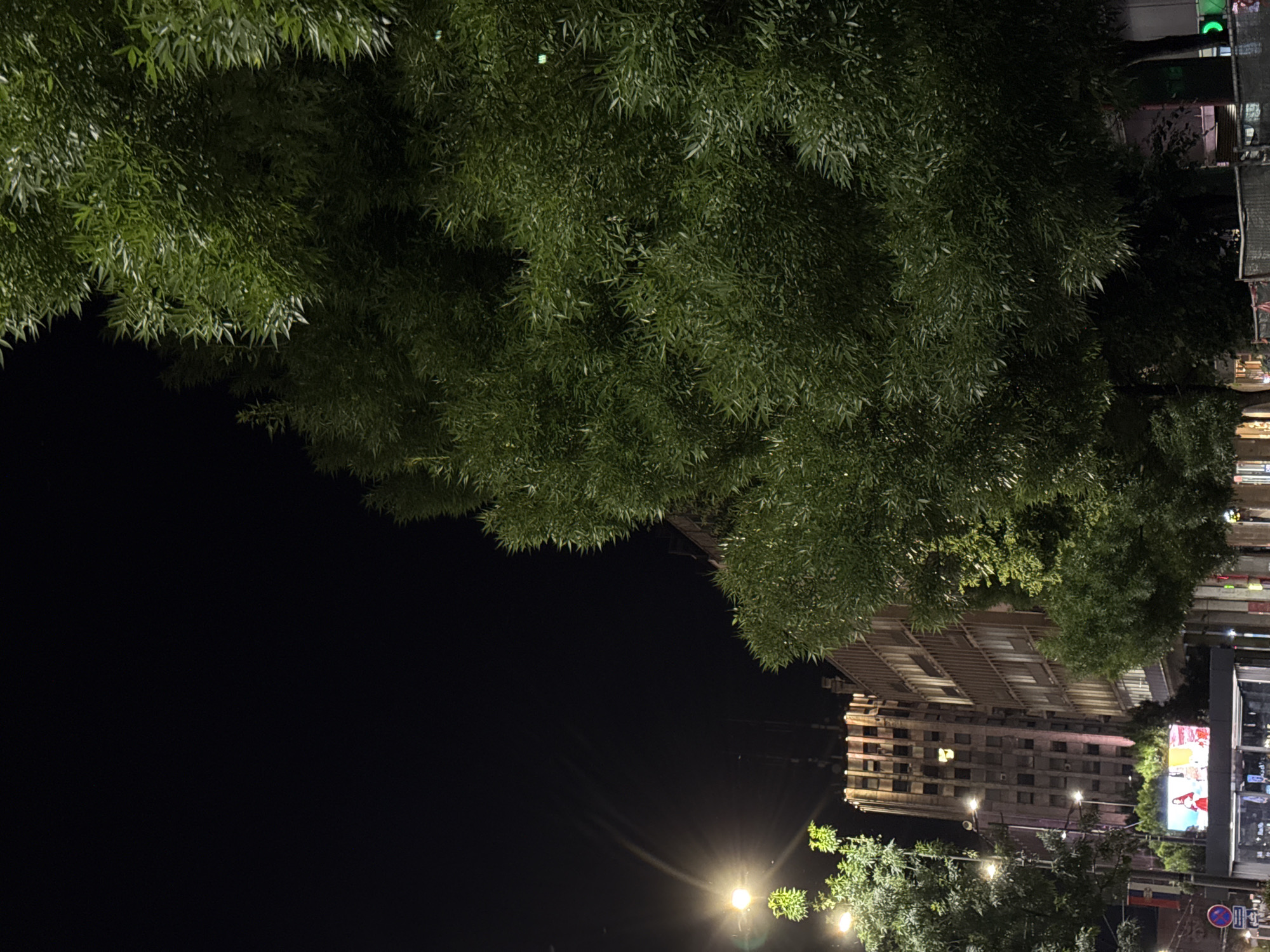 The image shows a night view in Belgrade, Serbia, with a large tree dominating the upper portion. Below the tree, the skyline of a city street is visible, illuminated by streetlights and building lights. A tall building can be seen, along with billboards and traffic signs. The image appears to be taken from a ground-level perspective, looking up at the tree and cityscape. The night sky is dark, contrasting with the illuminated areas below.