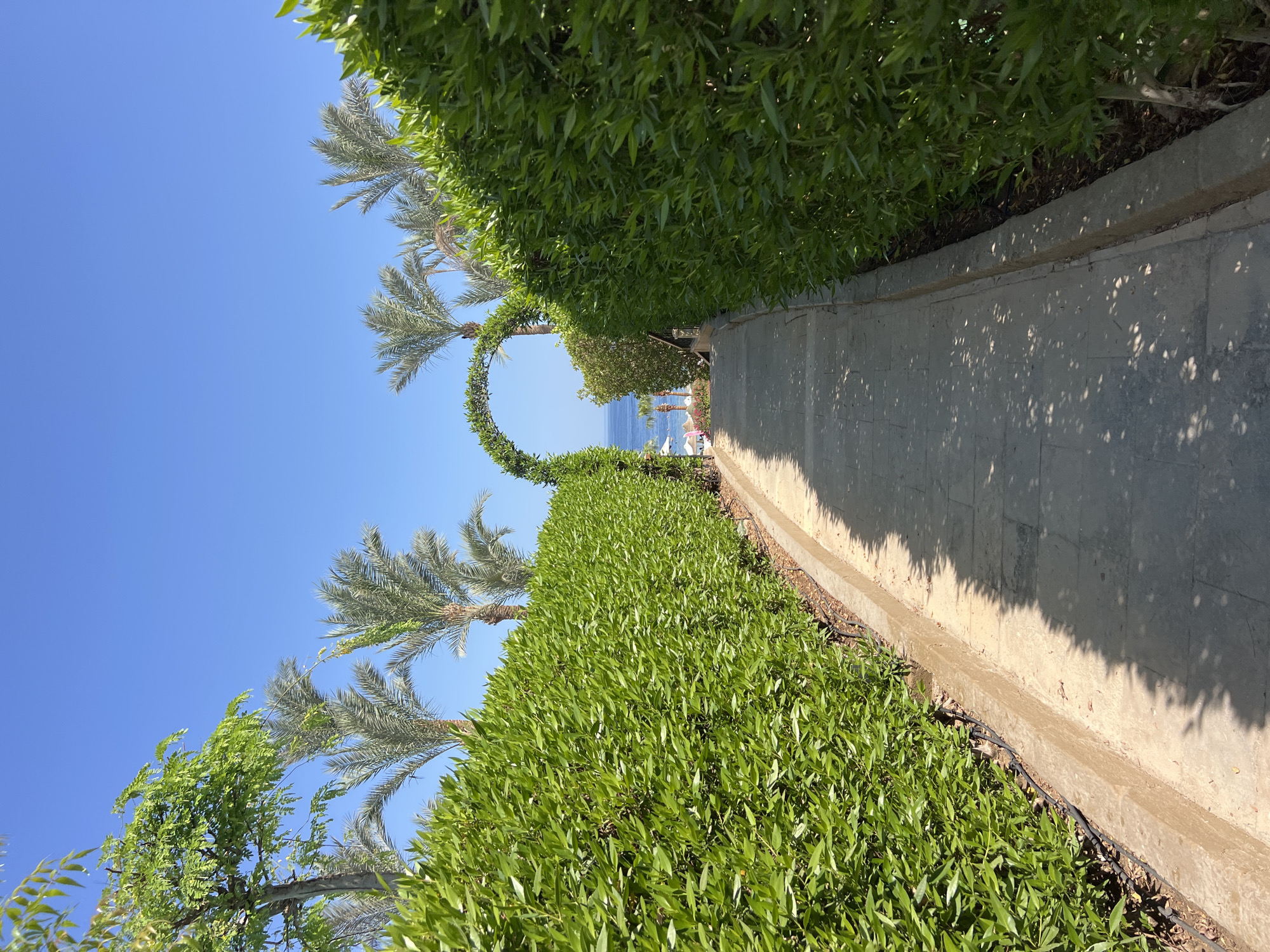 A pathway lined with neatly trimmed green hedges leads towards a glimpse of the sea under a clear blue sky. Palm trees are visible beyond the hedges. An archway made of greenery spans the pathway in the distance. The pathway is paved with stone tiles, and shadows from unseen foliage are cast across it. The scene appears to be in a resort or garden area, possibly in Sharm El Sheikh, Egypt, given the presence of palm trees and the bright, sunny environment characteristic of the region. No people are clearly visible, and the overall atmosphere is peaceful and serene.