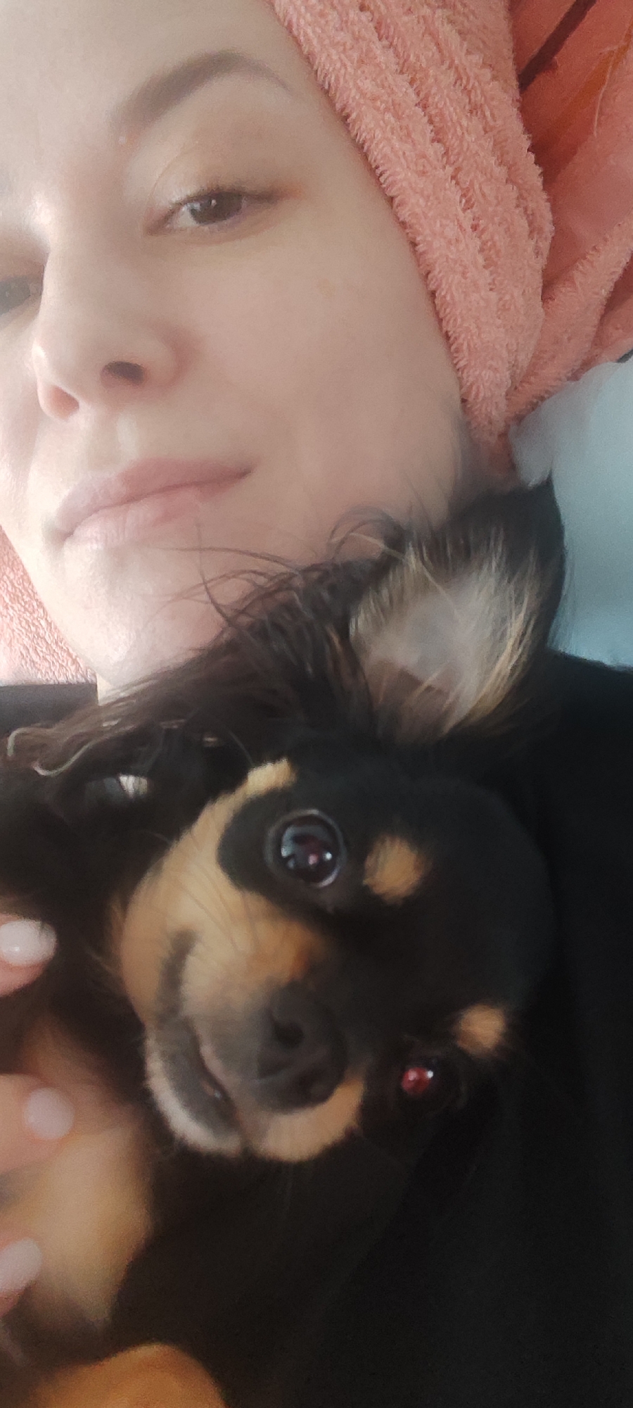 A close-up, vertical shot captures a woman and a small dog in a warm, intimate setting. The woman occupies the upper left portion of the frame, showing her face and upper chest. She has light skin, dark eyebrows, and her hair is wrapped in a textured, peach-colored towel, suggesting she might have recently washed it or is relaxing. Her lips are a natural pink, and her expression is calm and neutral.
The small dog is nestled against the woman's chest and neck, its head facing directly towards the camera. It has dark, long fur, possibly black or very dark brown, with distinctive tan or light brown markings on its face, around its eyes, and possibly on its chest and ears. Its eyes are large, dark, and reflective, giving it an attentive and perhaps curious expression. Long, dark fur trails around its head and ears.
The woman's hand, with a light pink manicure, is visible in the lower-left corner, gently holding the dog. Behind the dog's back, a soft, light blue or teal fabric is visible, possibly a blanket or cushion. The lighting is soft and diffused, indicating an indoor setting, likely cozy and relaxed. No text is visible in the image. The overall mood is one of comfort, companionship, and affection between the woman and her pet.