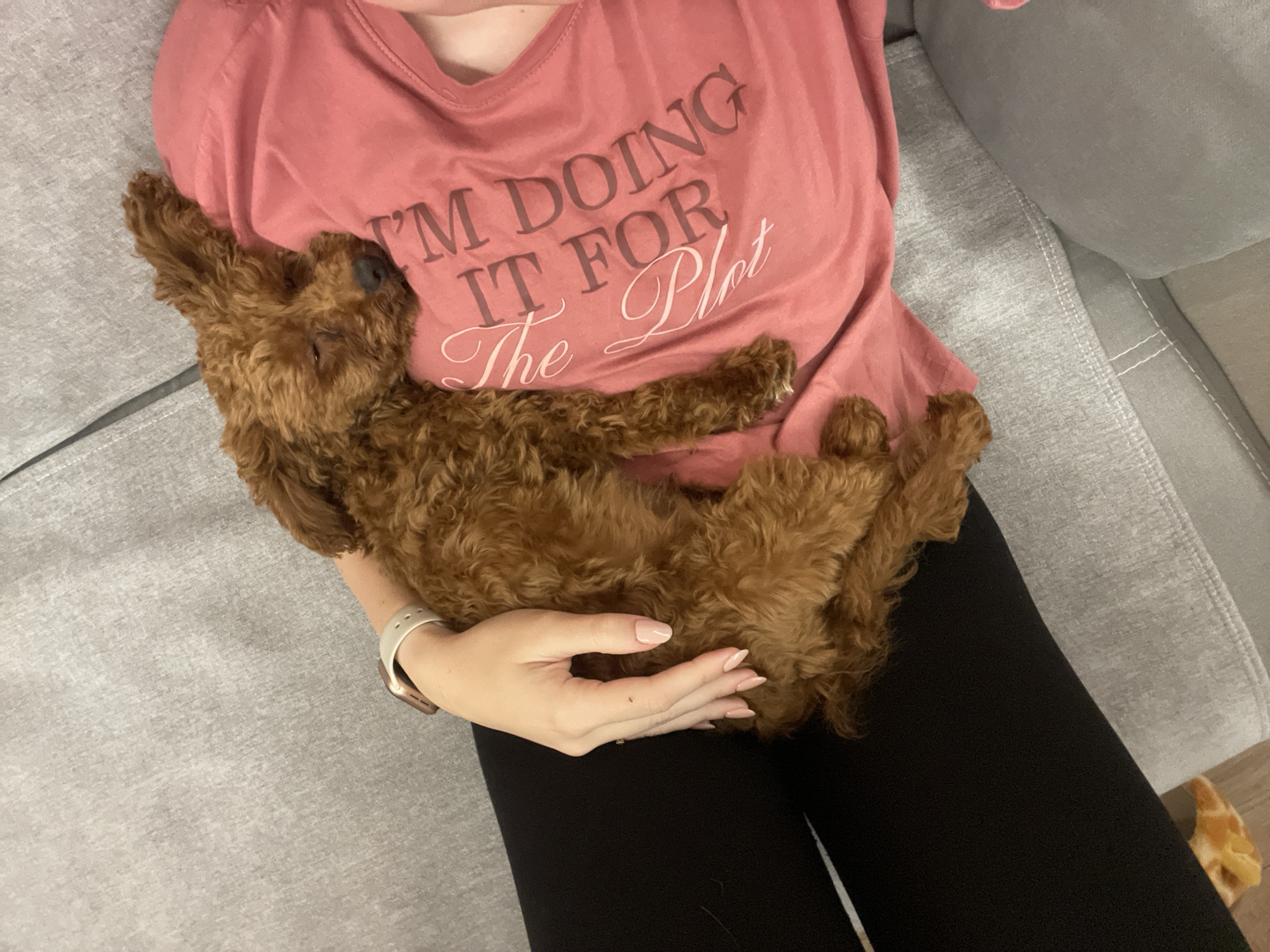 A person is sitting on a gray sofa, wearing a rose-colored shirt with the text "I'M DOING IT FOR The Plot", and black pants. The person is holding a small, brown, poodle-like puppy. The puppy is lying on its back, appearing to be asleep, with its paws outstretched. The person is wearing a white Apple watch. The background consists of the gray sofa and a glimpse of the floor with what appears to be a dog toy on the floor. The location is impossible to determine from the image.
