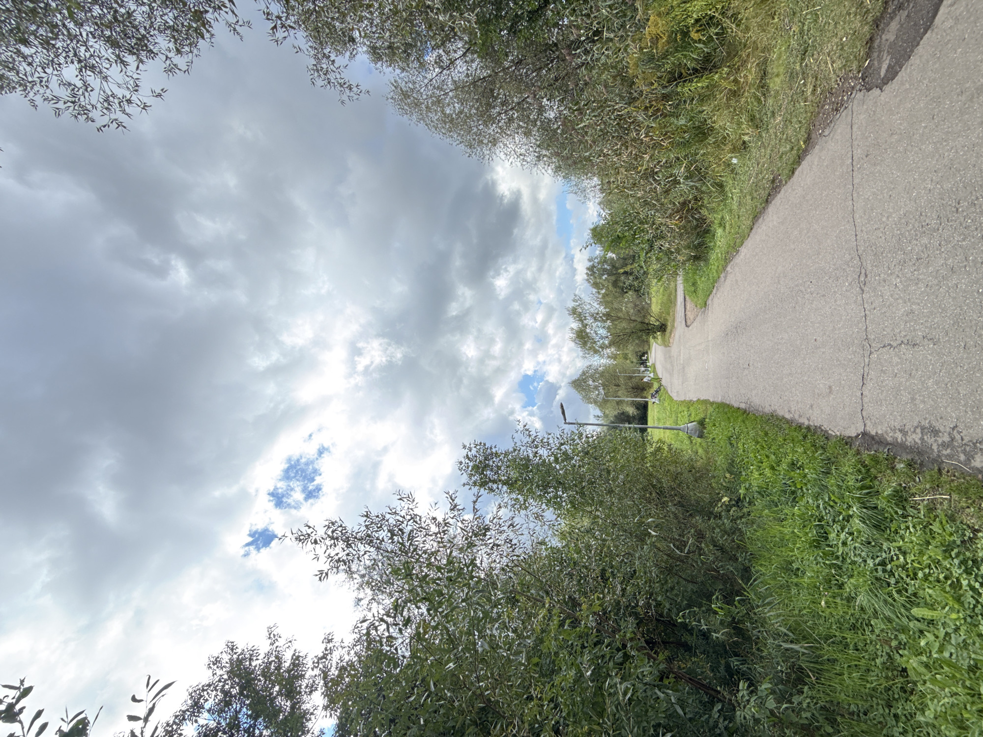 The image shows a paved pathway winding through a park-like setting with abundant greenery and trees under a cloudy sky. The pathway appears to be made of asphalt and shows signs of wear, with visible cracks. On either side of the pathway, there are lush green grassy areas and dense foliage from trees and bushes. In the distance, a few streetlights are visible, and a person in a light-colored shirt and dark pants is walking away from the camera on the pathway, with a bicycle or stroller nearby. The overall environment suggests an outdoor recreational area. The image was taken in Moscow, Russia.