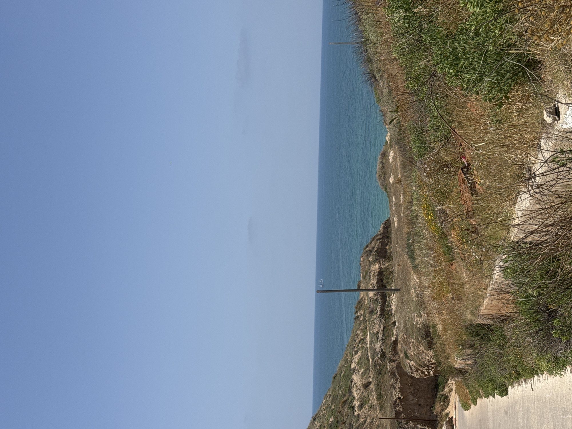 A landscape photograph depicts a coastline adjacent to a road, likely a street. The sky is a clear, light blue. The sea, or possibly a large lake, is a medium blue and appears calm. Two wooden poles stand between the sky and sea. The cliffside is vegetated with a mix of green and brown plants. The road is made of light-colored asphalt. This is likely a coastal view in Herzliya, Israel.