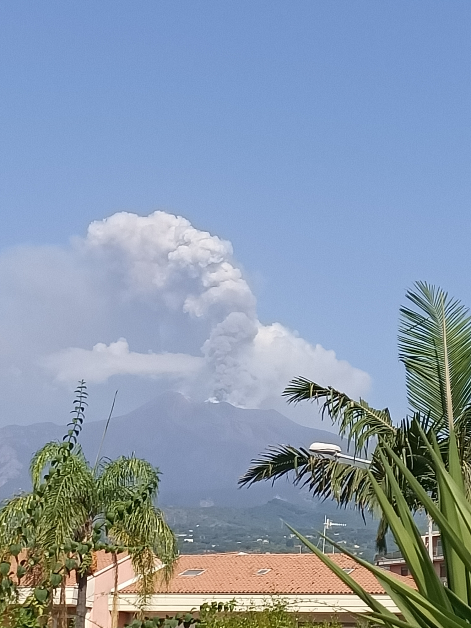 In the city of Unknown, Unknown, a volcano erupts, spewing a large plume of ash and smoke into the clear blue sky. The volcanic activity is visible in the background, with the peak of the mountain shrouded in grey and white clouds of ash. In the foreground, lush green palm trees with their fronds fanning out frame the scene. Their leaves are vibrant and full, contrasting with the muted tones of the volcano and the sky. Below the trees, a glimpse of a terracotta-tiled roof is visible, suggesting the presence of buildings or houses in the vicinity. The overall scene captures a dramatic natural event occurring in a seemingly serene environment.