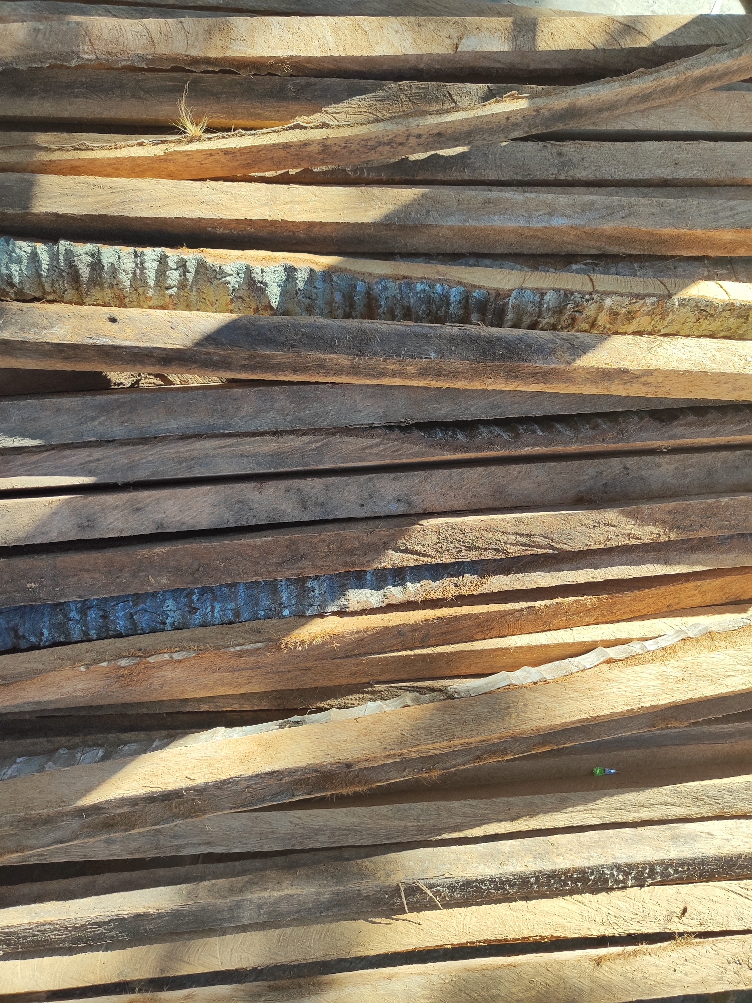 In Pujerbaru, Indonesia, a stack of rough-hewn wooden planks lies exposed to the elements. The planks, varying in color from light brown to dark gray, show signs of weathering and uneven surfaces. Some planks exhibit a bluish-green discoloration, likely from mold or treatment. Sunlight casts distinct shadows across the stack, highlighting the texture and irregularities of the wood. A few stray blades of grass sprout from between the planks, and a small, colorful object, possibly a discarded bottle cap or piece of plastic, rests on one of the planks. The scene suggests a construction or storage area, with the raw lumber awaiting its next purpose.
