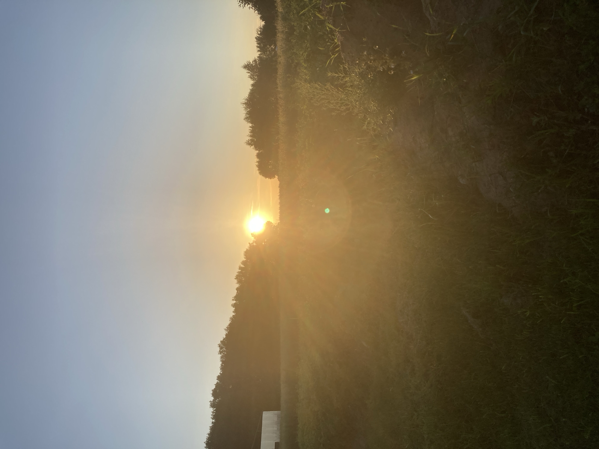 The image depicts a rural landscape at sunset. The sun, a bright orb, is low on the horizon, casting long shadows and creating a golden glow across the scene. The sky transitions from a clear, light blue at the top to a warm orange hue near the horizon. Silhouetted trees form a dense line along the far edge of a grassy field. In the middle ground, a white structure, possibly a shed or building, is partially visible. The foreground is dominated by a field of grass and some vegetation, with patches of exposed earth suggesting a pathway or cultivated area. The overall atmosphere is tranquil and serene, characteristic of a rural setting in the evening.