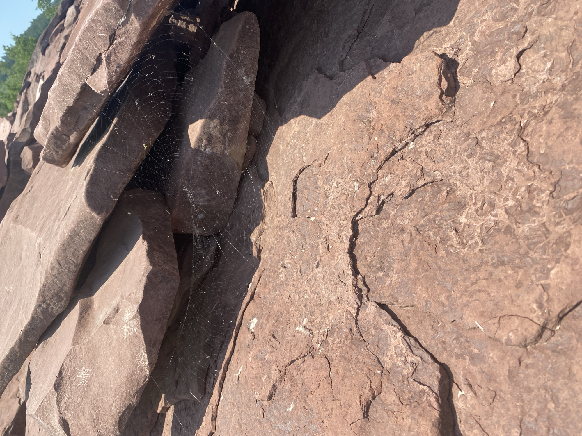 The image shows a close-up view of layered, reddish-brown rocks, likely sandstone, forming an overhang. Several spiderwebs are visible, stretched across the crevices between the rock layers. One prominent web, located centrally, is intricate and appears to have a small insect caught within it. Other smaller webs are scattered throughout the scene. The rocks exhibit rough textures with visible cracks and variations in color due to natural weathering. The lighting suggests a sunny day, casting shadows on some of the rock surfaces. The overall scene is a natural outdoor environment. The location in Ust'-Erba, Russia, is not discernible from the visual information provided in the image.