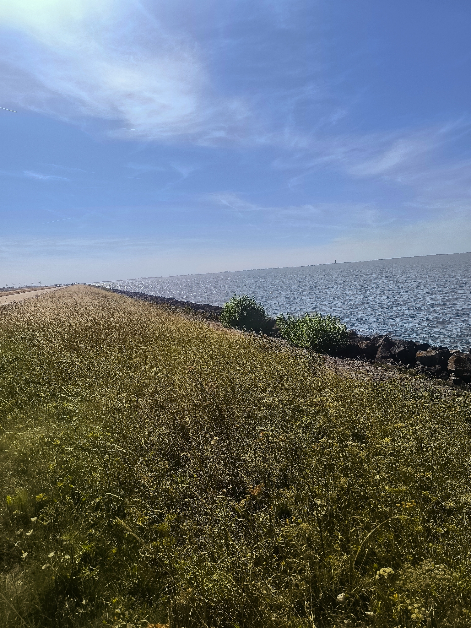 The image captures a scenic view of a dike in Almere, Netherlands. The dike, covered in tall, dry grass, stretches diagonally across the frame from the bottom left to the upper left, forming a clear boundary between the land and the water. To the right of the dike, a vast body of water, likely the IJsselmeer or Markermeer, shimmers under a bright blue sky with scattered white clouds. The water's surface is rippled, suggesting a light breeze. Along the edge of the water, a line of dark rocks forms a protective barrier. In the distance, along the horizon, a faint line of buildings and what appear to be wind turbines can be seen, indicating the presence of a cityscape or industrial area. The overall scene is one of natural beauty and open space, characteristic of the Dutch landscape.