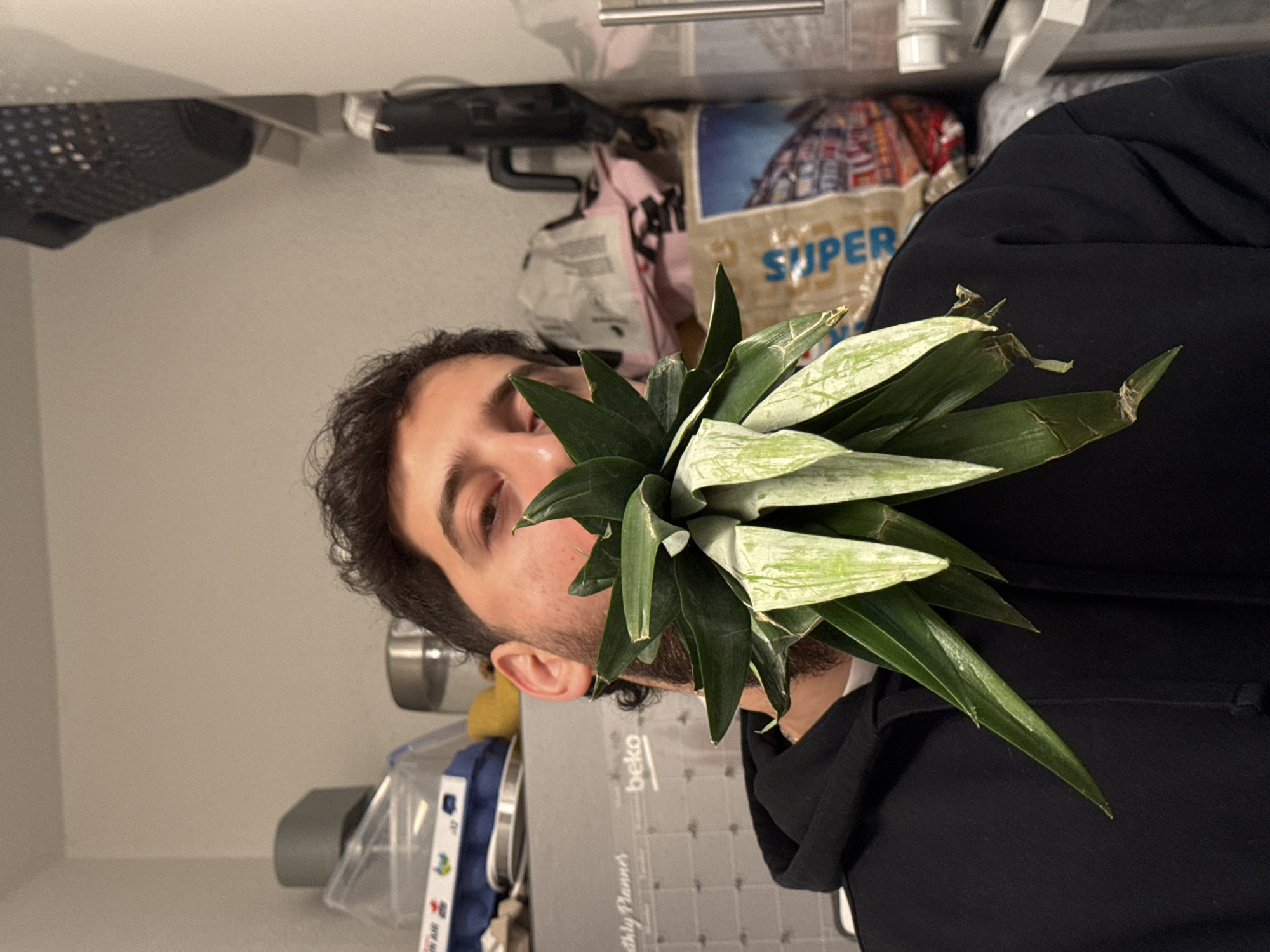 A man with dark hair and a beard is holding the top of a pineapple in front of his face. He is wearing a black hooded sweatshirt. The background shows a kitchen or storage area with shelves containing various items, including containers, bags of food (one labeled "SUPER"), and a calendar ("beko Monthly Planner"). No indication of Strasbourg, France can be determined from this image.