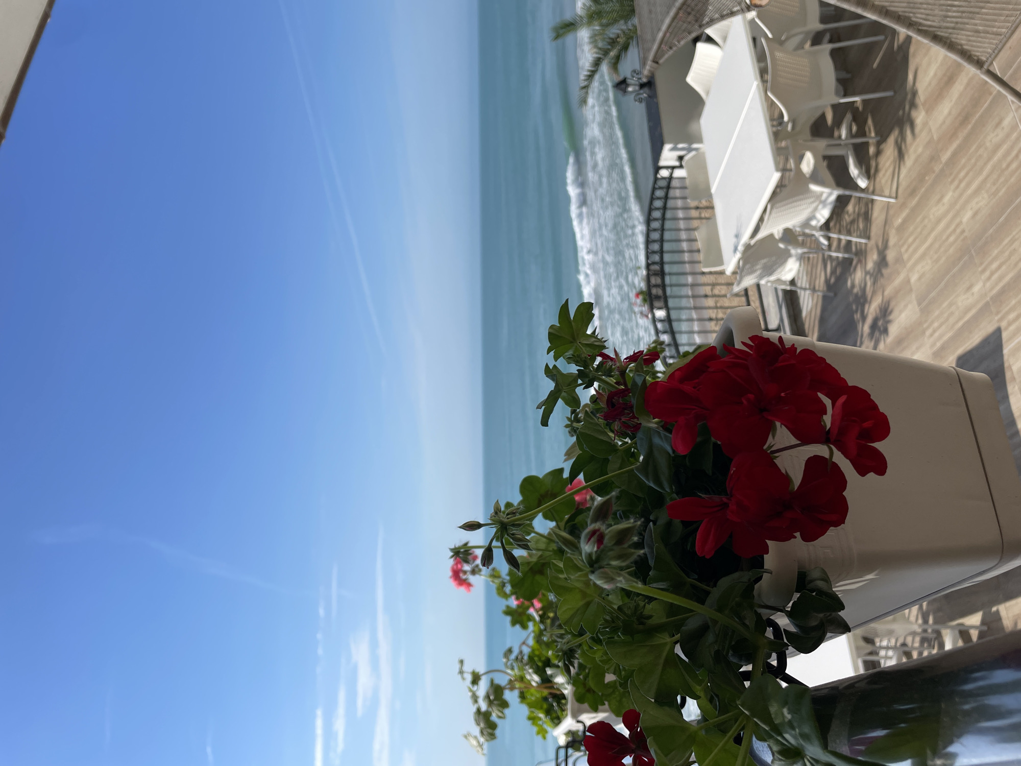 The image captures a serene coastal scene viewed from a balcony or terrace, likely in Nesebar, Bulgaria. In the immediate foreground, a white planter is filled with vibrant red geraniums and lush green foliage. These flowers are prominently positioned, adding a splash of color to the lower right of the frame.
Beyond the planter and a decorative dark metal railing, the expansive blue sea stretches out, meeting a clear horizon. Gentle white-capped waves can be seen breaking close to what appears to be a shore or coastline. To the right of the frame, an outdoor dining area is visible. It features several modern white tables and matching chairs arranged on a light-colored wooden or tiled deck. Shadows from unseen structures or foliage, including a partial palm tree, are cast across the deck, indicating bright sunlight.
The background consists of a clear, brilliant blue sky, marked only by a few faint, wispy contrails left by aircraft. The time of day appears to be sunny morning or early afternoon, characterized by the strong light and distinct shadows. No people are visible in the scene, conveying a sense of tranquility and peacefulness. There is no visible text in the image. The overall impression is one of a relaxing holiday destination by the sea.