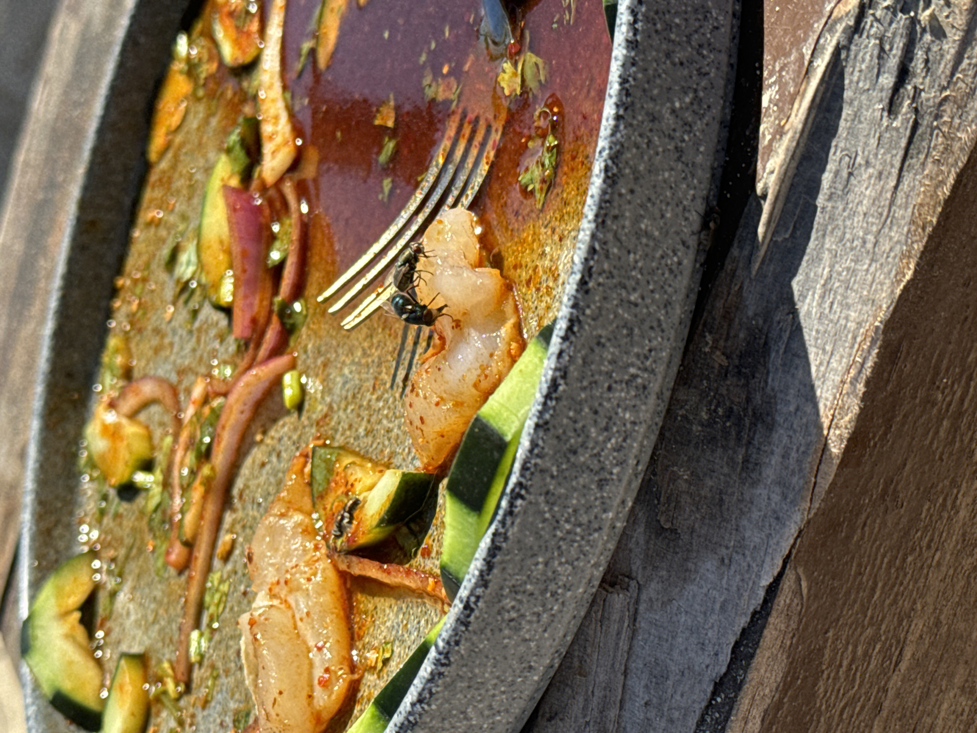 A close-up, tilted shot focuses on a dirty, circular plate filled with food scraps and sauce. The plate, appearing to be made of speckled grey material, contains remnants of what seems to be a salad, featuring avocado slices, onions, and other unidentified ingredients mixed with a dark red sauce. A fork lies among the food debris, and two flies are perched on a piece of food near the fork. The plate sits against a weathered wooden surface, likely a table or fence, creating a rough, textured background. The lighting suggests an outdoor setting, with harsh shadows cast by the sun.