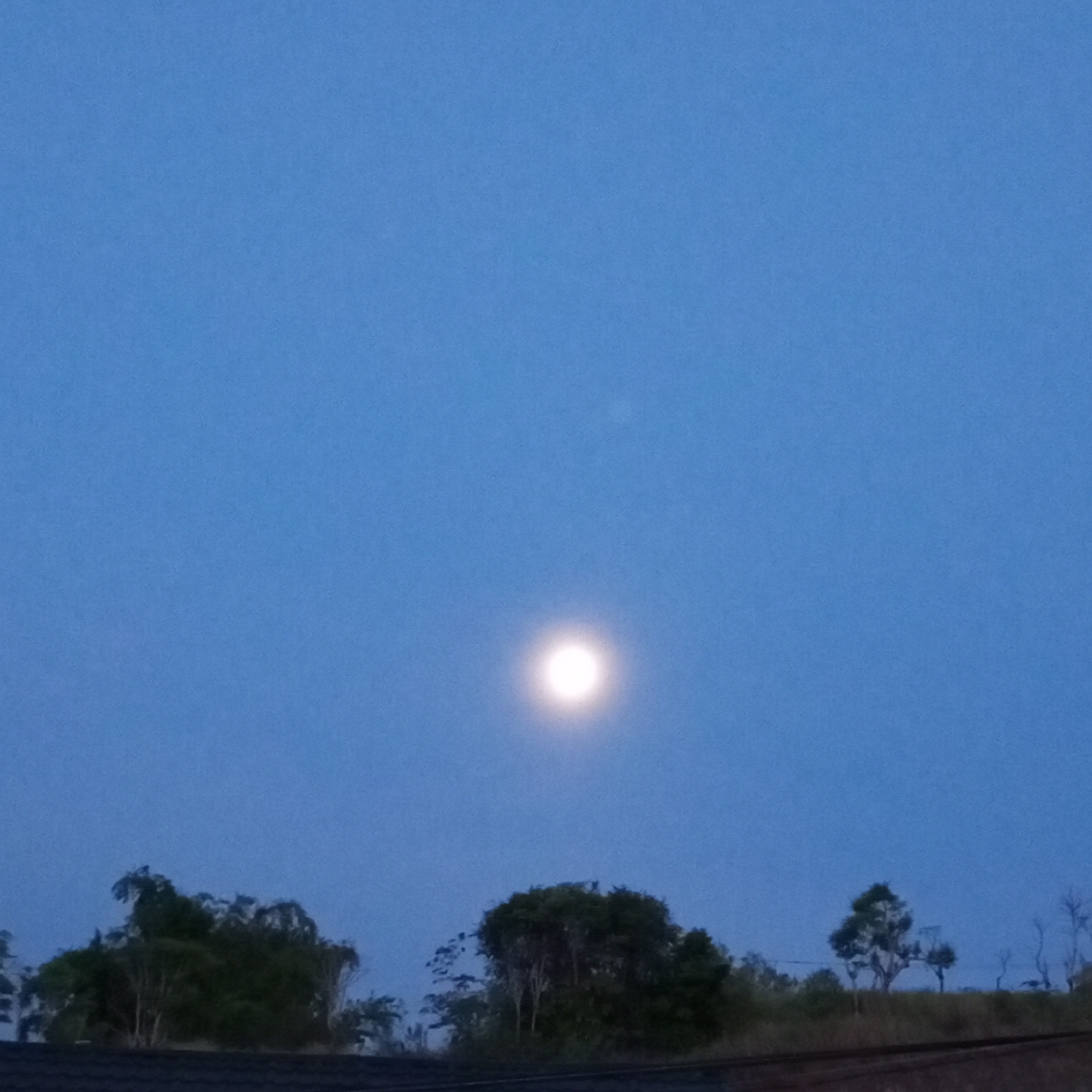 The image captures a serene twilight or nighttime scene, with a prominent, bright full moon dominating the upper-middle portion of a clear, deep blue sky. No clouds are visible, indicating fair weather conditions.
In the foreground, the dark silhouettes of various trees and dense foliage line the horizon. These trees appear to be tropical or subtropical in nature, consistent with the location of Lhokseumawe, Indonesia. Below the tree line, a dark, tiled roof or similar structure is partially visible along the very bottom edge of the frame, further grounding the scene. The natural light from the moon illuminates the sky, creating a gentle blue hue, and casts the landscape into shadow.
There are no people or specific activities taking place, making the moon and the silhouette of the natural landscape the primary subjects. The scene conveys a sense of peacefulness and natural beauty, characteristic of a clear evening or early morning. There is no visible text in the image.