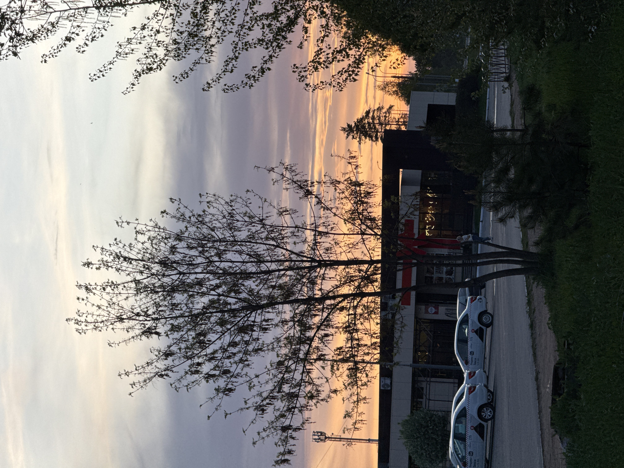 The image shows an urban scene during a sunset. The sky displays a mix of colors including purple, orange, and grey. The foreground features a bare tree silhouette against the colorful sky. A building with a red and white sign is visible behind the tree, and two white cars are parked in front of it. There is a road next to the cars, and some green grass and bushes. The image is oriented vertically.