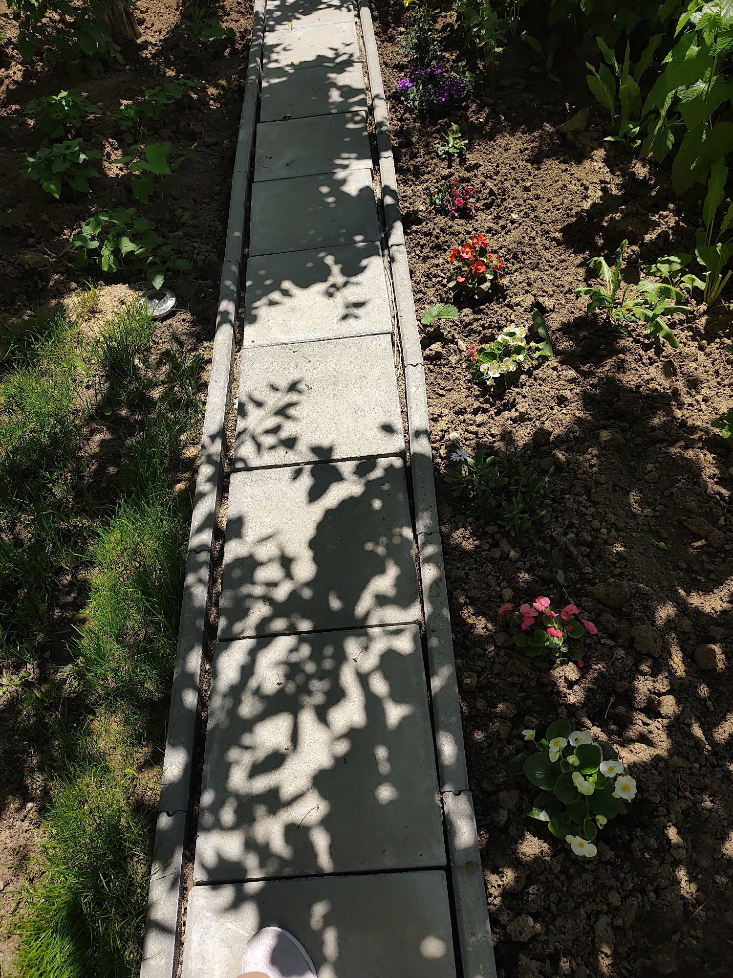 A high-angle shot shows a garden scene in daylight. A pathway made of square concrete blocks runs through the center of the frame, dividing the garden bed. The pathway is partially shaded by tree leaves. To the left of the path is grass. To the right is soil with various plants and flowers, including red, white, and purple blooms. The location is not specified.