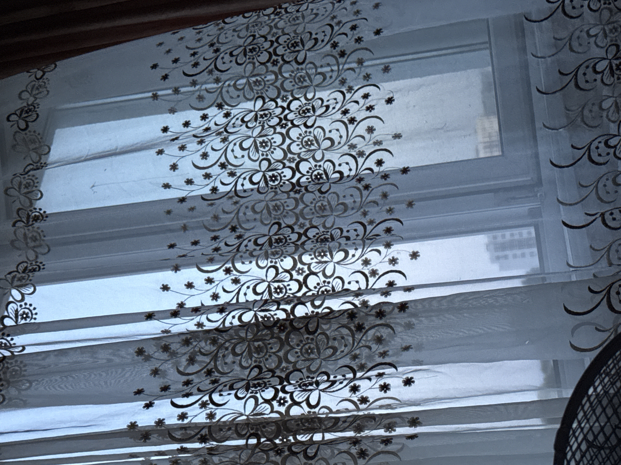 The image shows a close-up of a window covered by sheer curtains with a dark floral pattern. The curtains are layered, creating horizontal bands of fabric. Through the sheer fabric, a window pane is visible, and beyond that, the outlines of buildings can be discerned, suggesting an urban or suburban setting. The light filtering through the window and curtains indicates it is daytime, but the overall cool, muted tones suggest overcast weather or perhaps early morning or late afternoon light. There is no discernible activity taking place, and no people are visible. The focus is on the texture and pattern of the curtains and the diffused light. The location context of Cahul, Moldova, provides a geographical setting but does not offer specific visual cues within the image itself. No text is visible in the image.