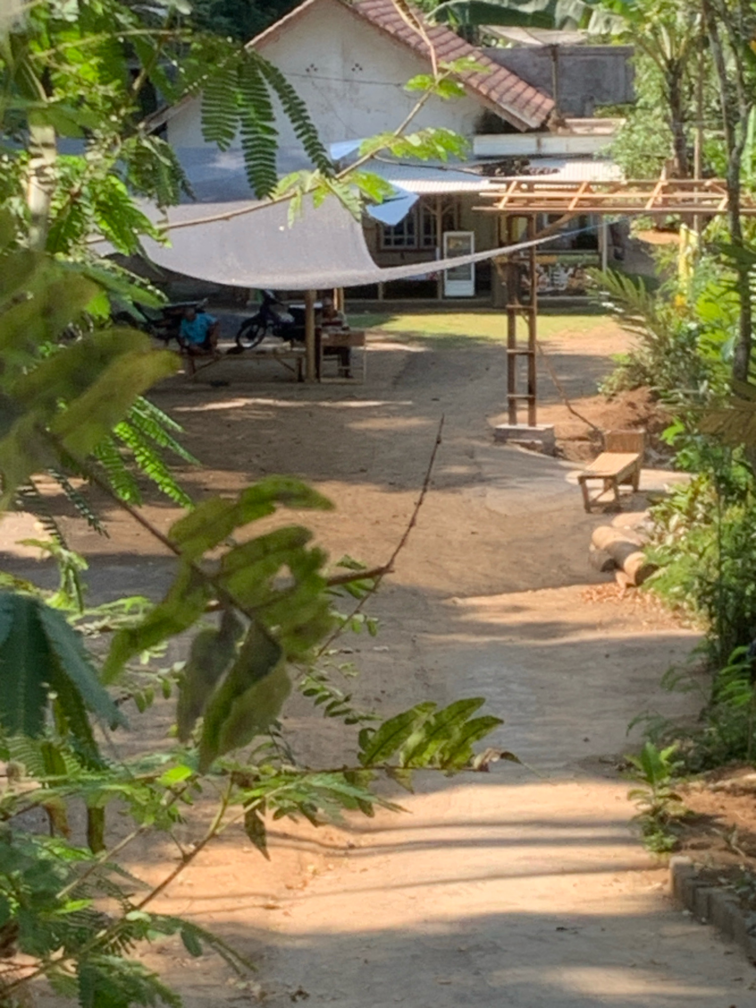 The image depicts an outdoor scene in Pronojiwo, Indonesia. In the foreground, lush green foliage from leafy plants partially obscures the view. A dirt path leads through the scene, with sunlight casting long shadows across it. To the left, a white tarp is stretched over a wooden frame, providing shade. Beneath the tarp, two motorcycles are parked, and a person wearing a blue shirt is seated on a bench. Further in the background, a simple house with a tiled roof is visible. To the right of the path, a wooden bench sits on the ground, and a pile of logs is also present. The environment appears to be rural or semi-rural, with natural vegetation surrounding the structures and path.