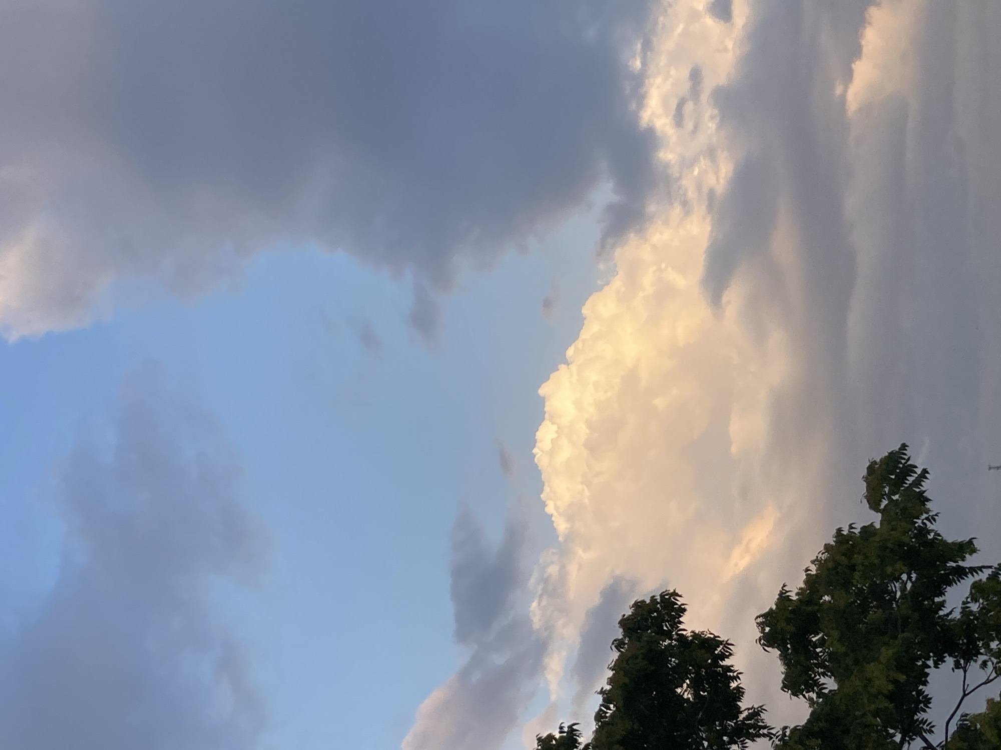 The image shows a dramatic sky over Avanos İlçe Merkezi, Turkey. A large, brightly lit cumulonimbus cloud dominates the center of the frame, appearing luminous and warm, possibly due to the setting sun. To the right, a darker, more ominous cloud formation looms, casting a shadow and creating a stark contrast. The sky transitions from a clear, pale blue in the upper left to a deeper, more overcast grey on the right. In the lower left corner, the dark silhouette of a tree with dense foliage provides a grounding element against the expansive sky. The scene appears to be a natural landscape or park within Avanos. There are no people or specific man-made structures immediately visible in the frame, suggesting a focus on the atmospheric conditions.
