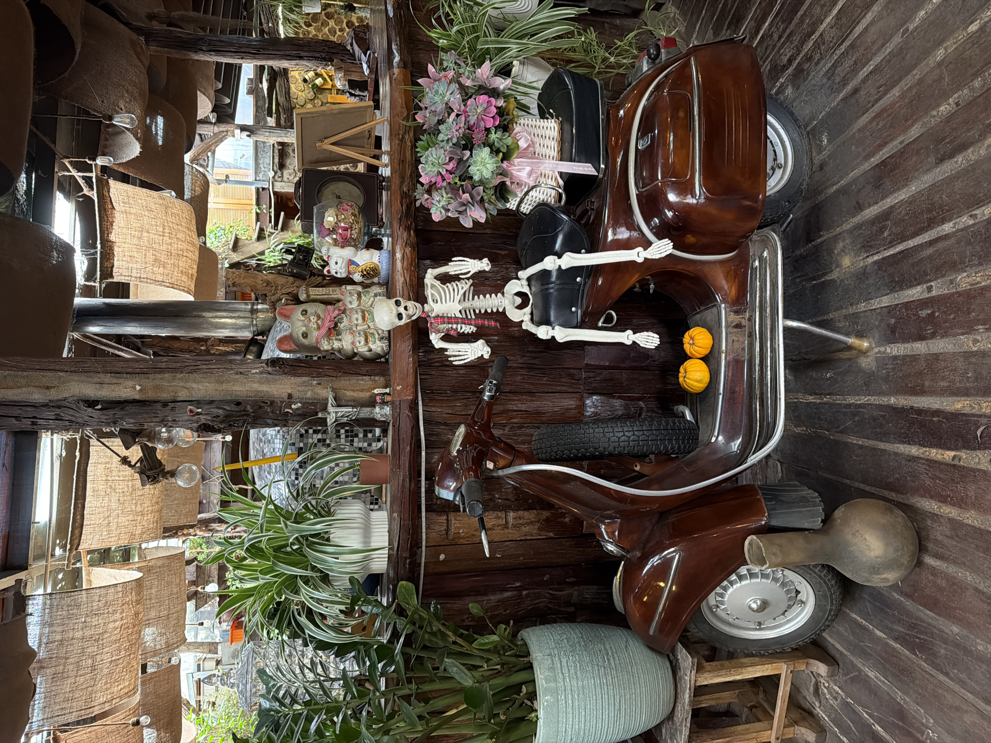 A skeleton is seated on a vintage brown scooter parked on a wooden floor in an outdoor setting. The skeleton is positioned with its legs over the seats and its arms resting on the handlebars. It is wearing a red and white plaid scarf. Behind the scooter, a wooden shelf displays various items, including plants in pots, decorative cat figurines, and framed pictures. The background features a rustic structure with burlap canopies overhead, suggesting an open-air cafe or shop. Two small orange pumpkins are placed on the scooter's floorboard. The scene appears to be located in Lâm Viên - Đà Lạt, Vietnam, a region known for its cool climate and lush vegetation, which is reflected in the numerous plants present in the image.