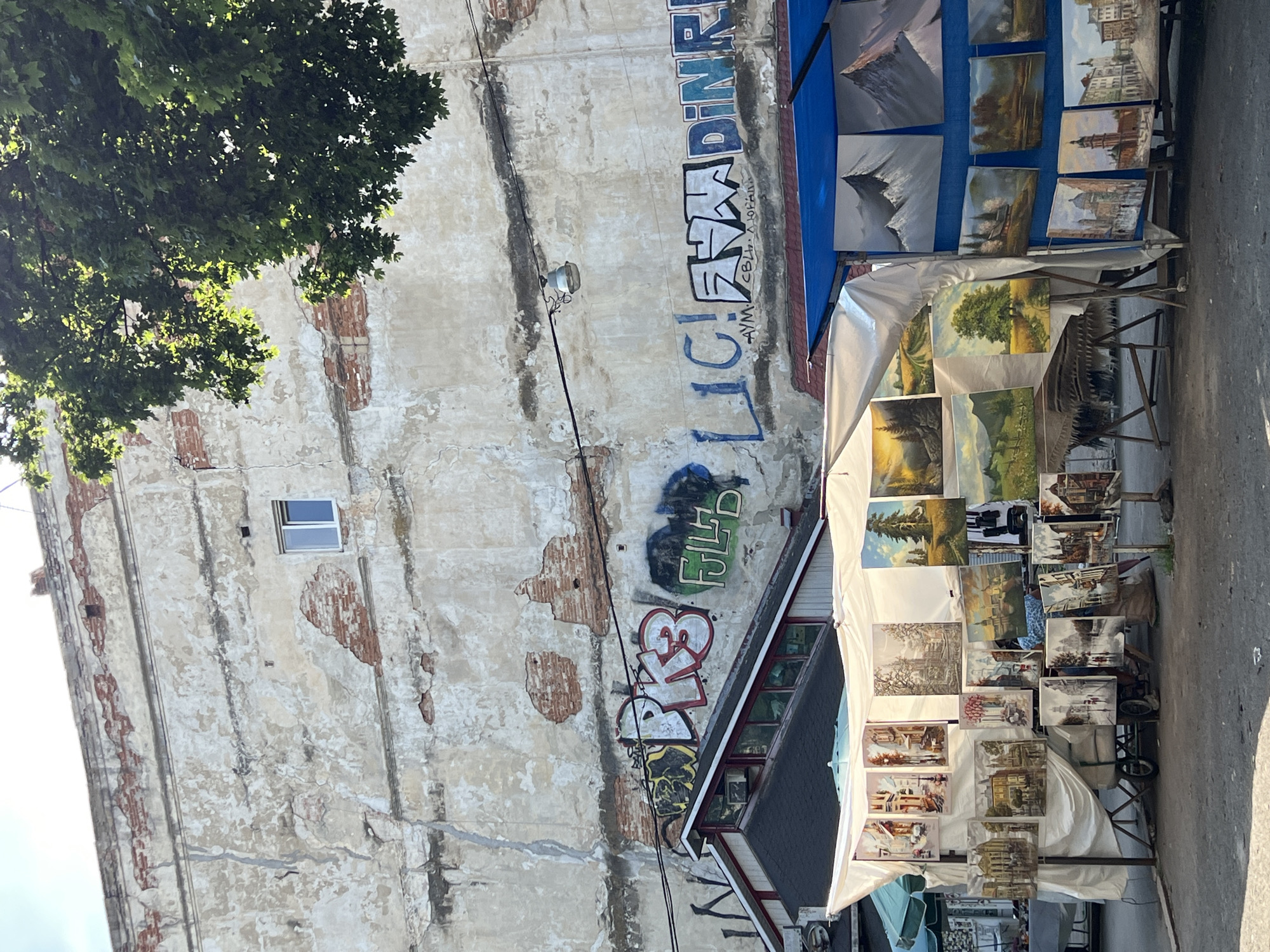 The image depicts an outdoor art market in Lviv, Ukraine, with a backdrop of a weathered building adorned with graffiti and a single window. The building's facade is peeling, revealing brickwork underneath, suggesting an aged and possibly neglected structure. In the foreground, several stalls display a variety of paintings. One stall features numerous landscape and cityscape paintings, some of which are framed and others unframed, hung on a white canopy. A person appears to be sitting behind some of these paintings, partially obscured by a paper bag and a woven mat. Adjacent to this, another stall, covered by a blue canopy, showcases more artwork, including mountain scenes and architectural city views. The ground is paved, and overhead, a tree branch with green leaves is visible against a bright sky. Power lines and a street lamp are also present, strung across the building's facade. The overall atmosphere suggests a vibrant, albeit somewhat gritty, urban art scene.