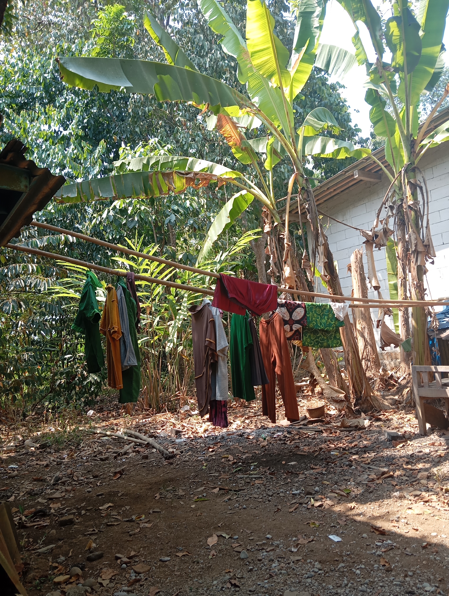 In a rural setting in Kedungbenda, Indonesia, laundry hangs on a clothesline suspended from bamboo poles. The clothesline is set up outdoors, with a backdrop of lush green vegetation, including banana trees with large leaves. A portion of a white brick building is visible on the right side of the frame, adjacent to the banana trees. The ground is covered with dry leaves and soil, with scattered stones. The scene is illuminated by natural sunlight, casting shadows. Several garments, including shirts and pants, are hanging on the line, some appearing to be wet. A wooden chair is partially visible in the lower right corner. The overall impression is one of a simple, outdoor laundry setup in a tropical environment.