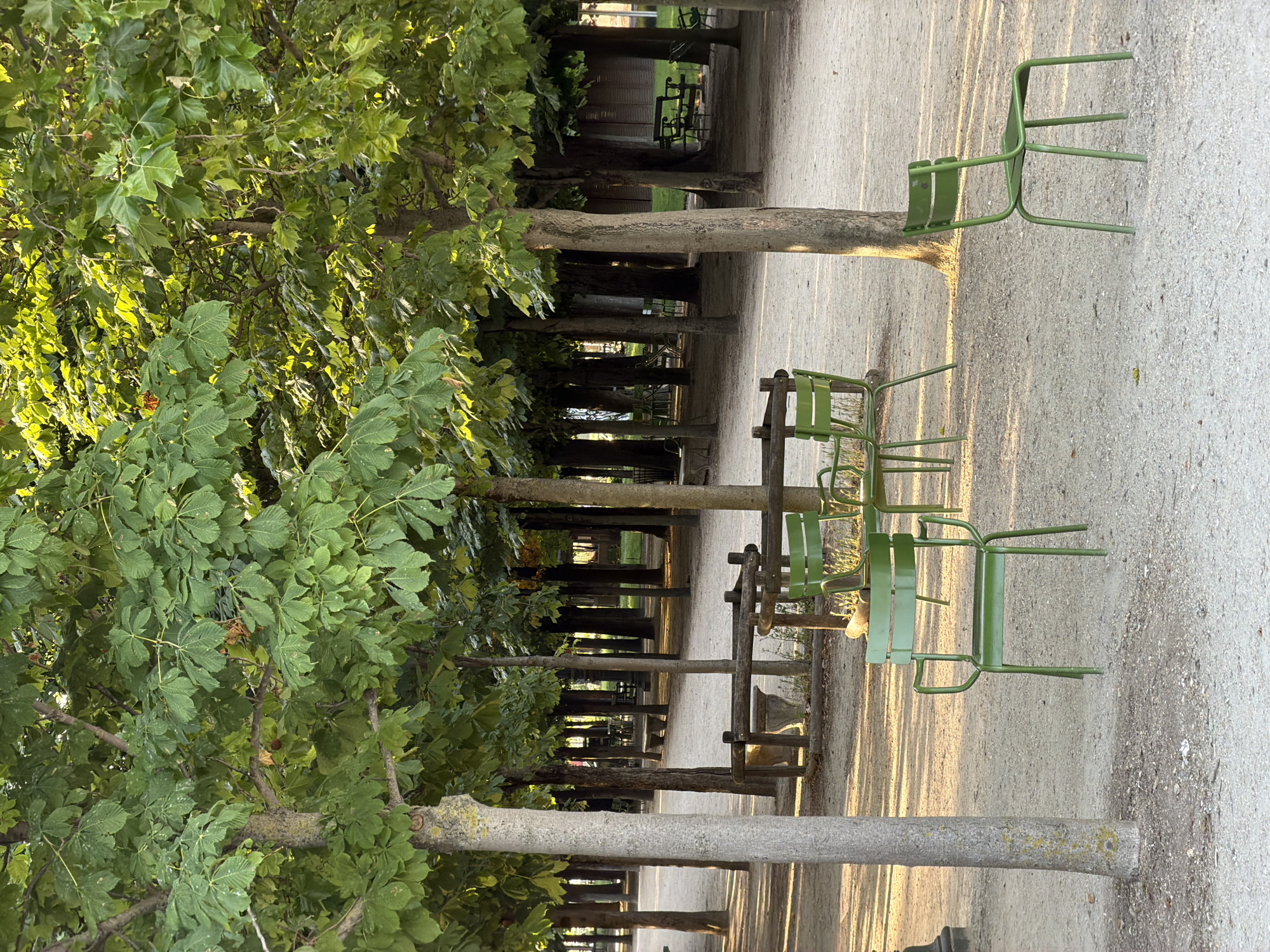 The image depicts a park setting, likely in Paris, France, characterized by rows of trees and green metal chairs lining a gravel path. The perspective is ground-level, looking straight down the path. The trees are mature, with dense foliage on the left side of the frame, creating a sense of depth and shade. The path is bathed in sunlight, casting long shadows from the trees and chairs. The chairs are arranged in pairs or small groupings, suggesting a space for relaxation or conversation. The scene is serene and inviting, typical of Parisian parks and gardens. No people are visible.