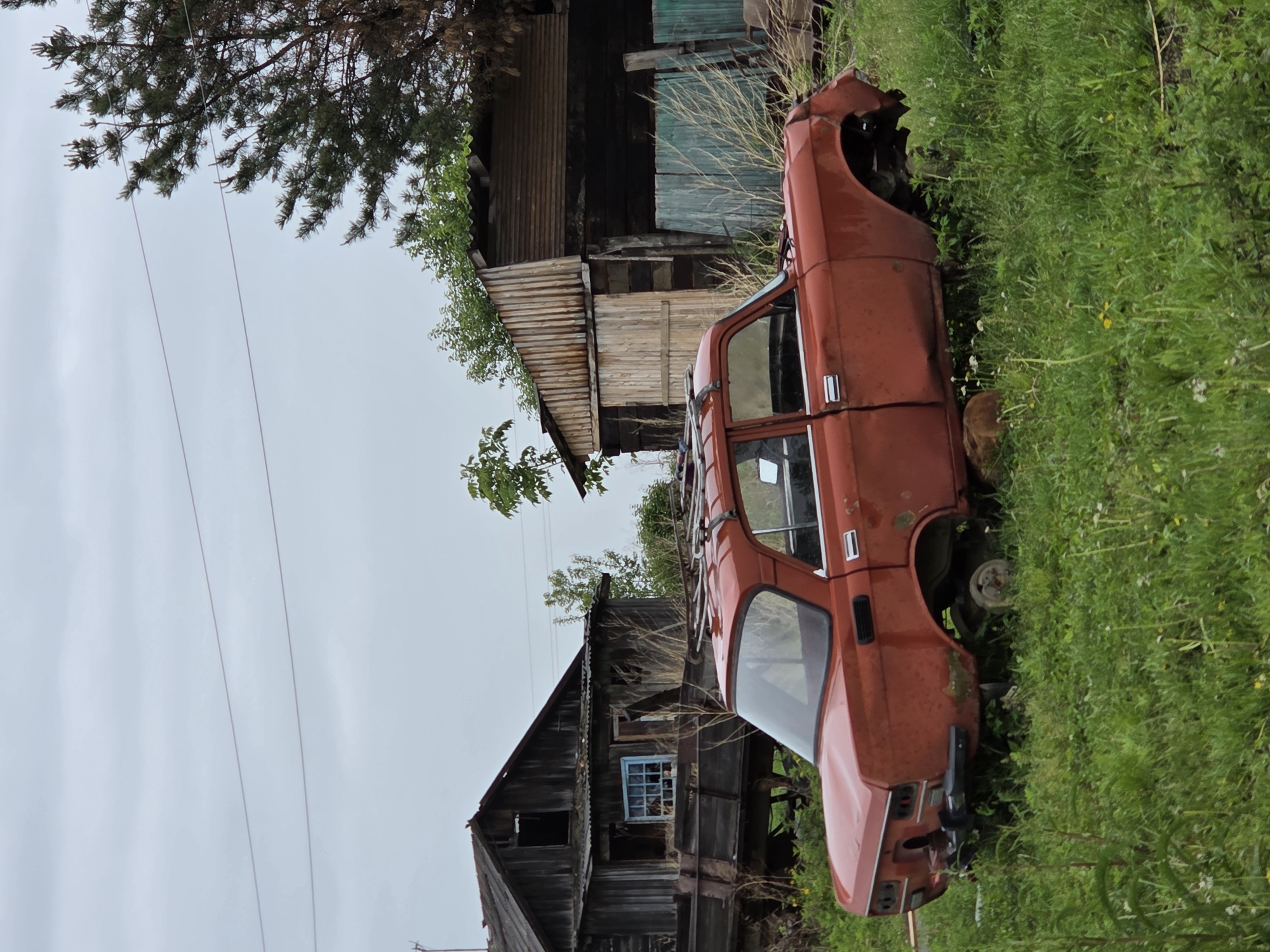 An outdoor, static scene captured in Pronkino, Russia, depicts a state of advanced disrepair and abandonment under an overcast sky. In the foreground, a heavily rusted and damaged four-door red sedan, stripped of its wheels and front bumper, rests in a field of tall green grass interspersed with small wildflowers. A roof rack is visible atop the vehicle. In the midground, two dilapidated wooden structures stand amidst overgrown vegetation. The structure on the left is a multi-level wooden house or barn with a damaged corrugated metal roof, featuring a distinct blue-framed window on its lower level and resting on what appears to be an old wooden cart or platform. To the right, another dark wooden building, possibly a barn or shed, presents a corrugated metal roof and a faded light blue-green wooden fence or gate section. A large pine tree with visible branches occupies the upper right portion of the frame. Two thin utility lines stretch horizontally across the upper portion of the uniform gray sky. No individuals or discernible activities are present in the scene.