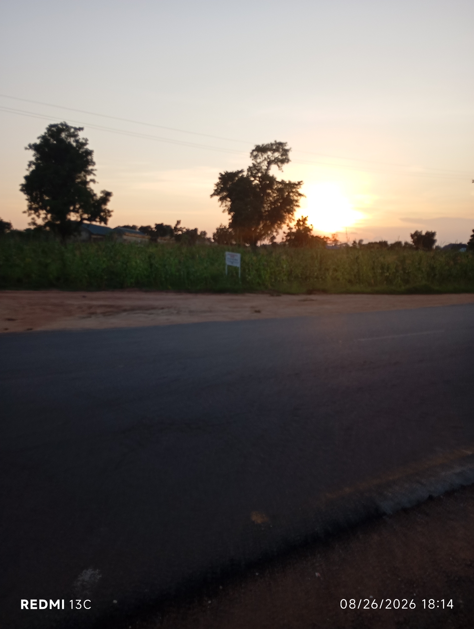The image depicts a rural road at sunset, likely near Shendam, Nigeria. The foreground is dominated by the dark asphalt of the road, with a reddish-brown dirt shoulder. In the mid-ground, a line of lush green crops, possibly corn, stretches across the scene, with scattered trees and some low buildings visible behind them. The sky is a pale orange and yellow, indicating the setting sun, which is partially obscured by trees on the right side of the frame. Two prominent trees stand in silhouette on the left, and a white sign is visible in the mid-ground. The bottom left of the image displays the text "REDMI 13C", and the bottom right shows the date and time "08/26/2026 18:14". There are no people or animals visible in the image.
