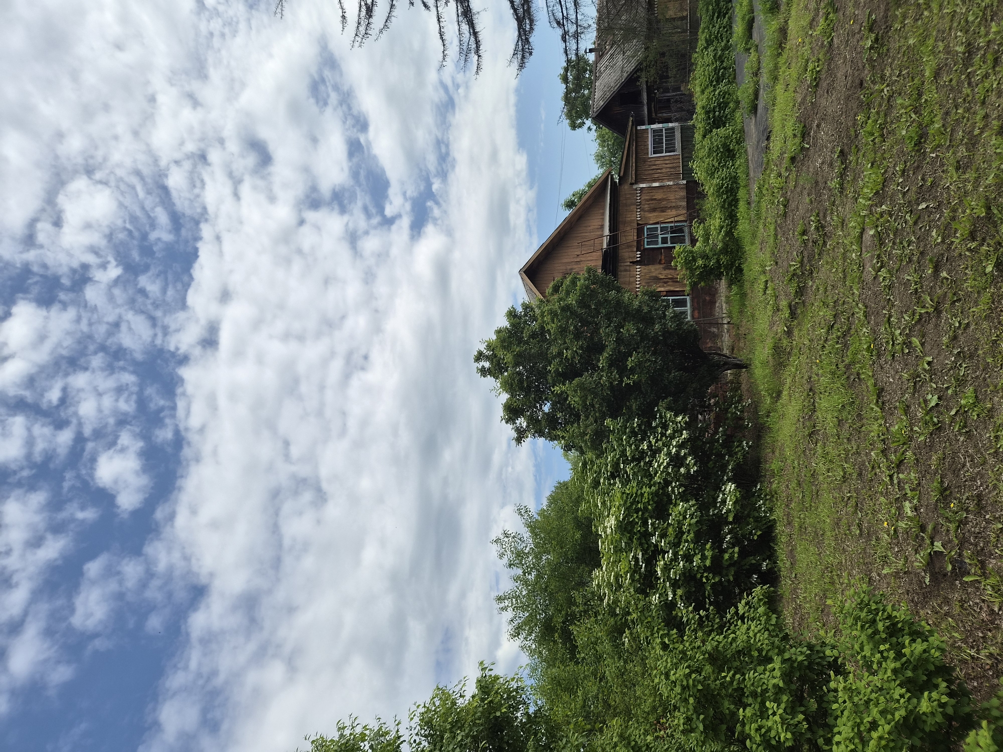 A wooden house with a brown facade and a steep roof stands in a grassy area with trees and bushes. The house has windows and a ladder leaning against it. Another smaller wooden house with a gray roof is visible to the right. The sky is blue with white clouds. The scene appears to be a rural setting in Novosisoevka, Russia.